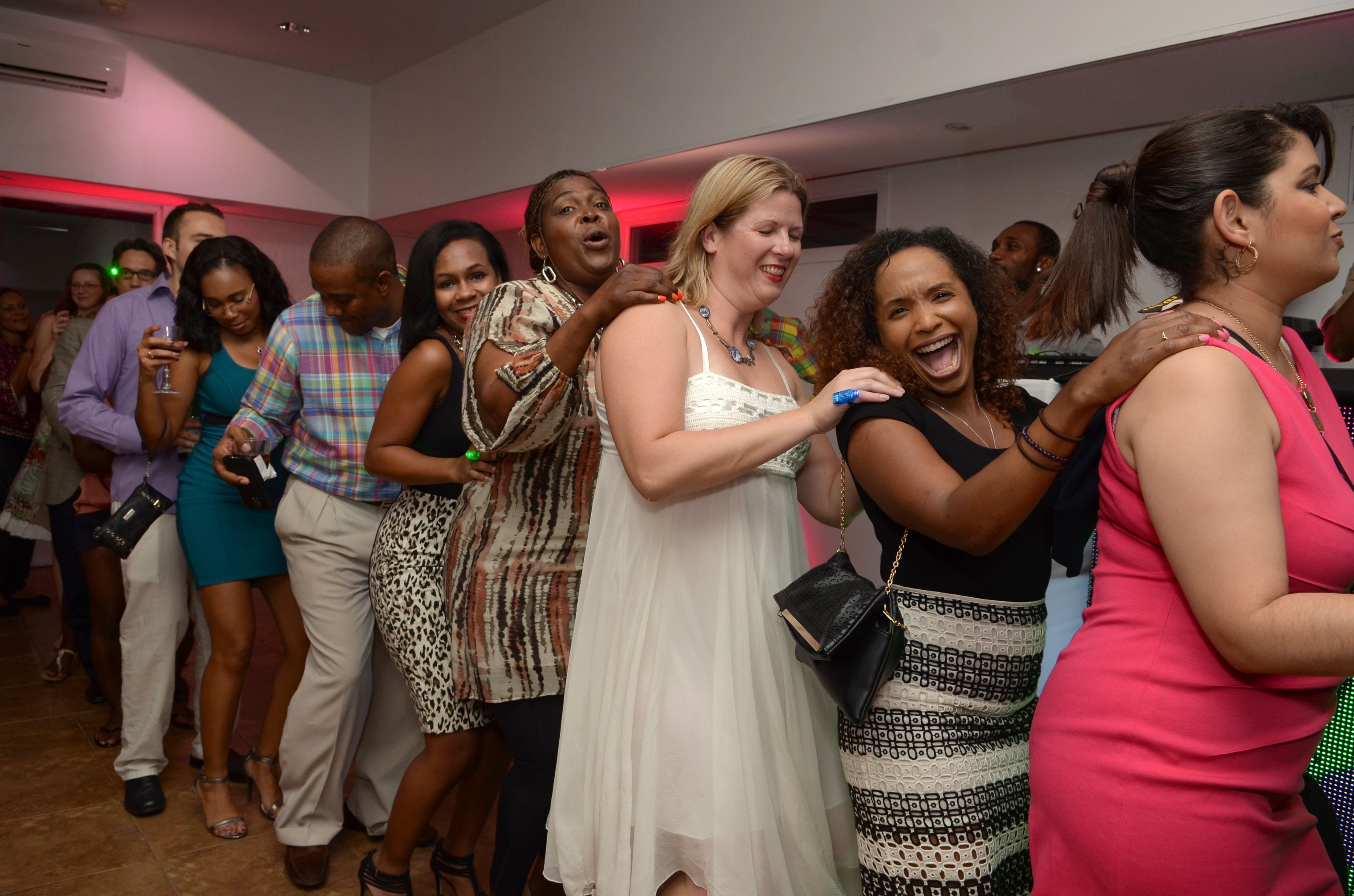 CCELD 2015 Closing Party Image -5ad51386b5a72