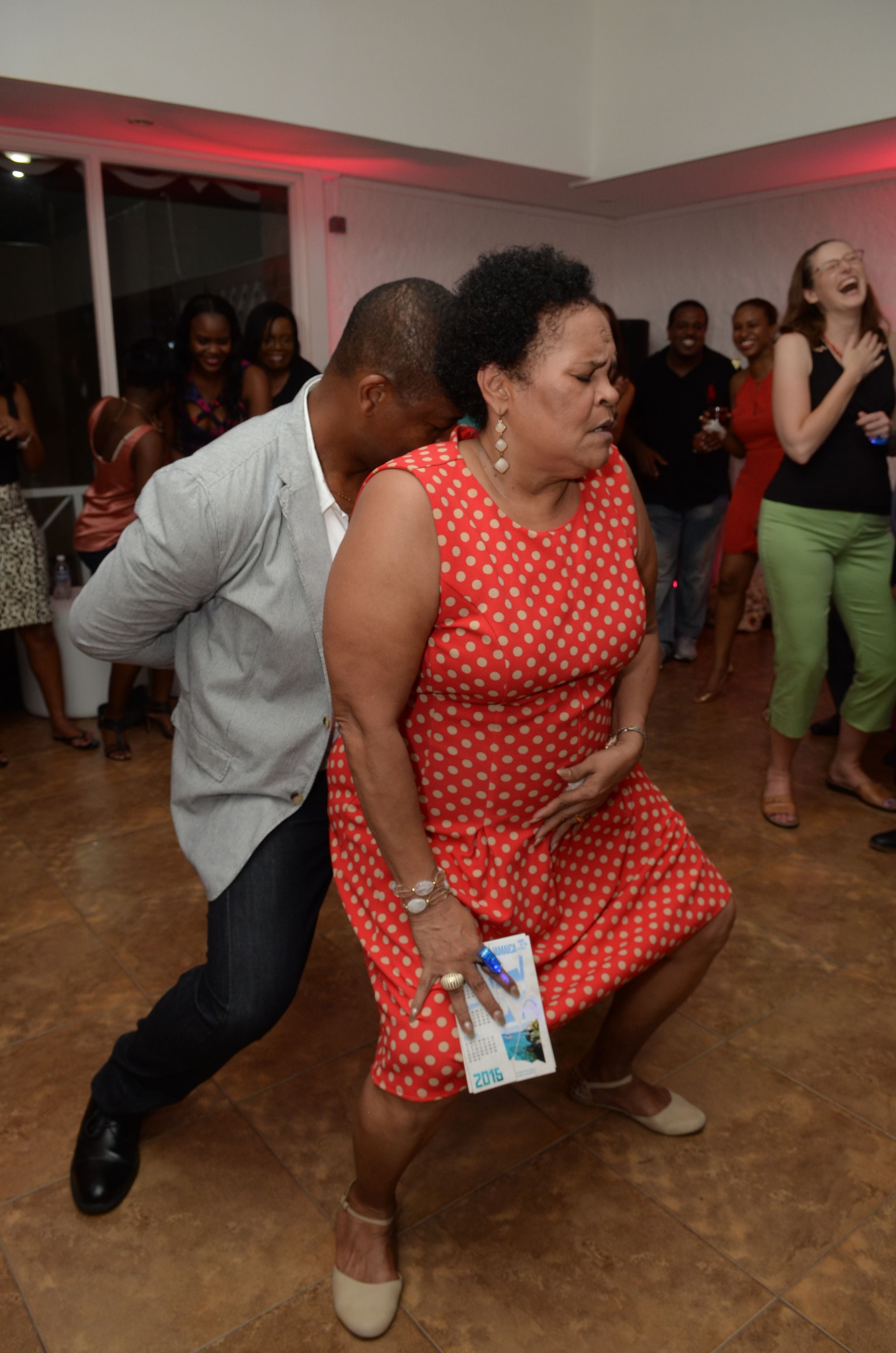 CCELD 2015 Closing Party Image -5ad513ab343a7