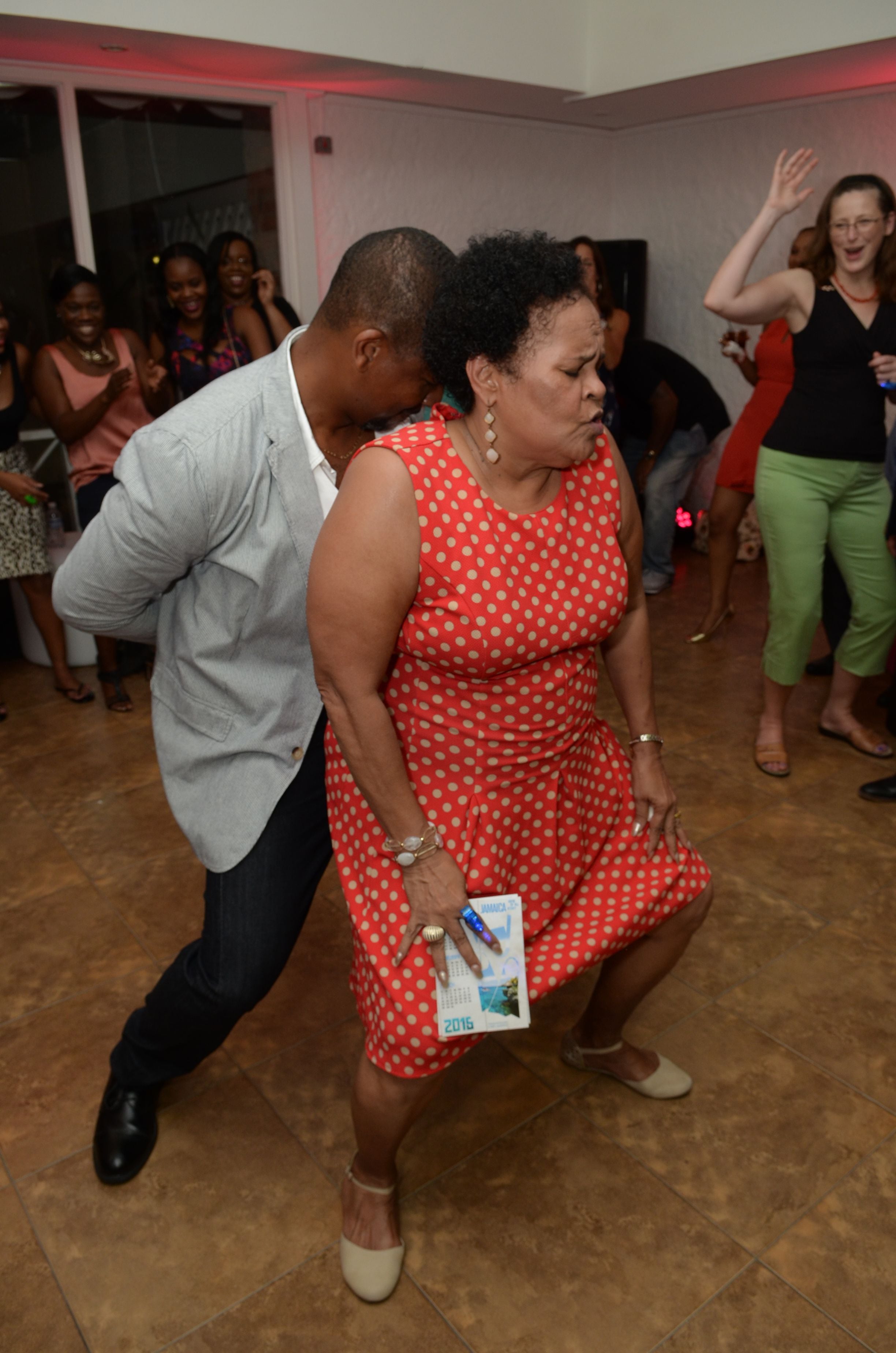 CCELD 2015 Closing Party Image -5ad514106d7cb