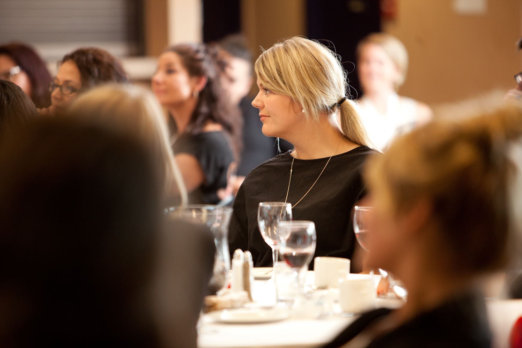 Emerging Leaders for Sustainable Community Development (ELSCD) - 2017 Opening dinner Image -5ad640108086d