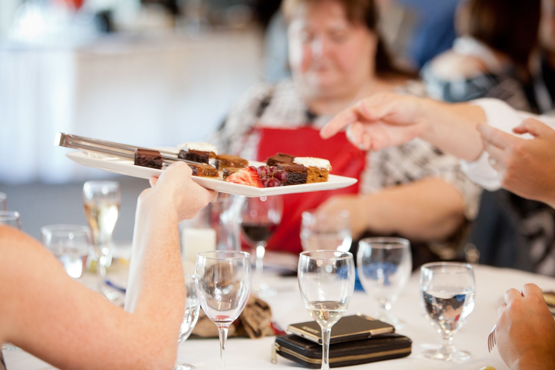 Emerging Leaders for Sustainable Community Development (ELSCD) - 2017 Opening dinner Image -5ad6402c911b2