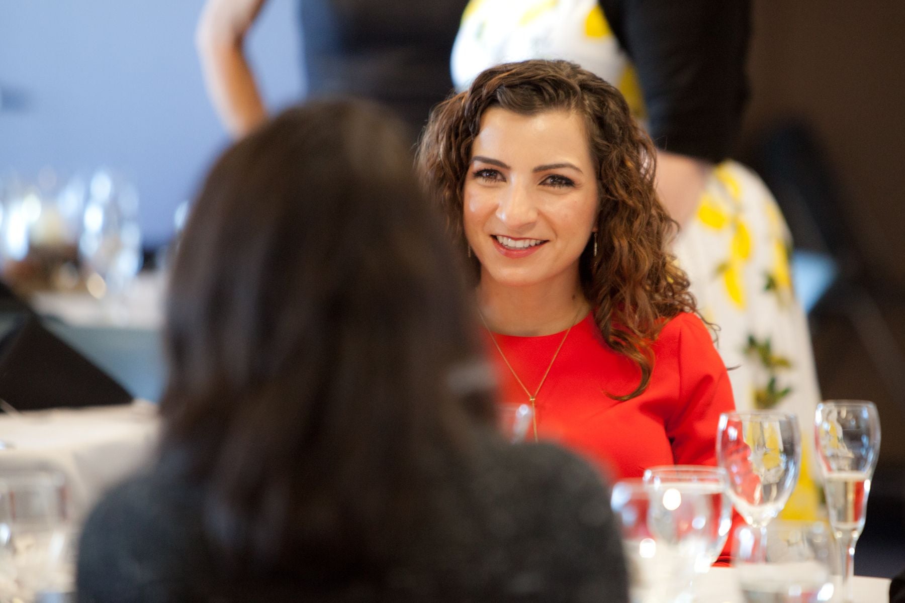 Emerging Leaders for Sustainable Community Development (ELSCD) - 2017 Opening dinner Image -5ad640d32d959