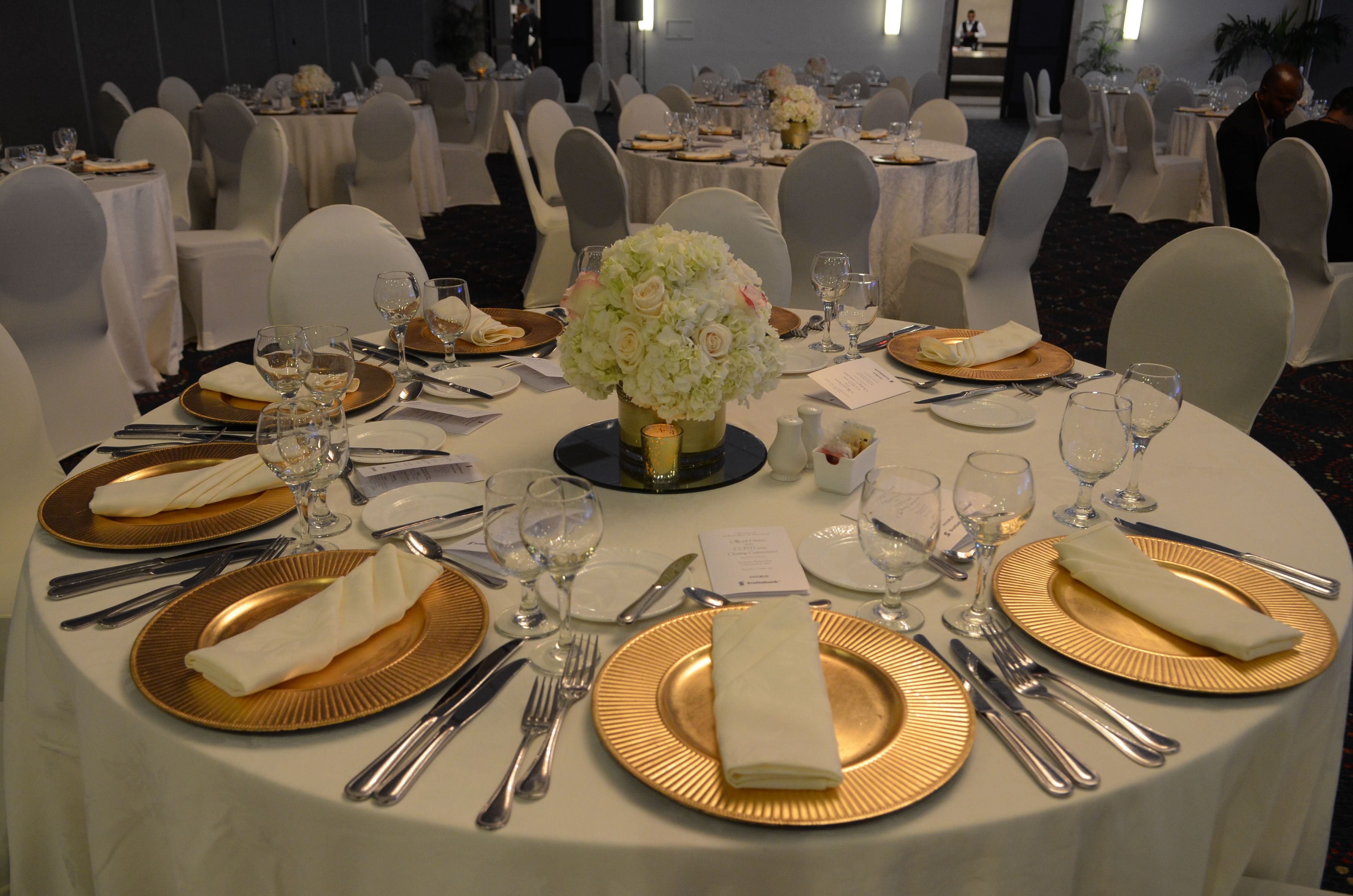 Official Dinner of the CCELD Closing Image -5ad7687e72b4a