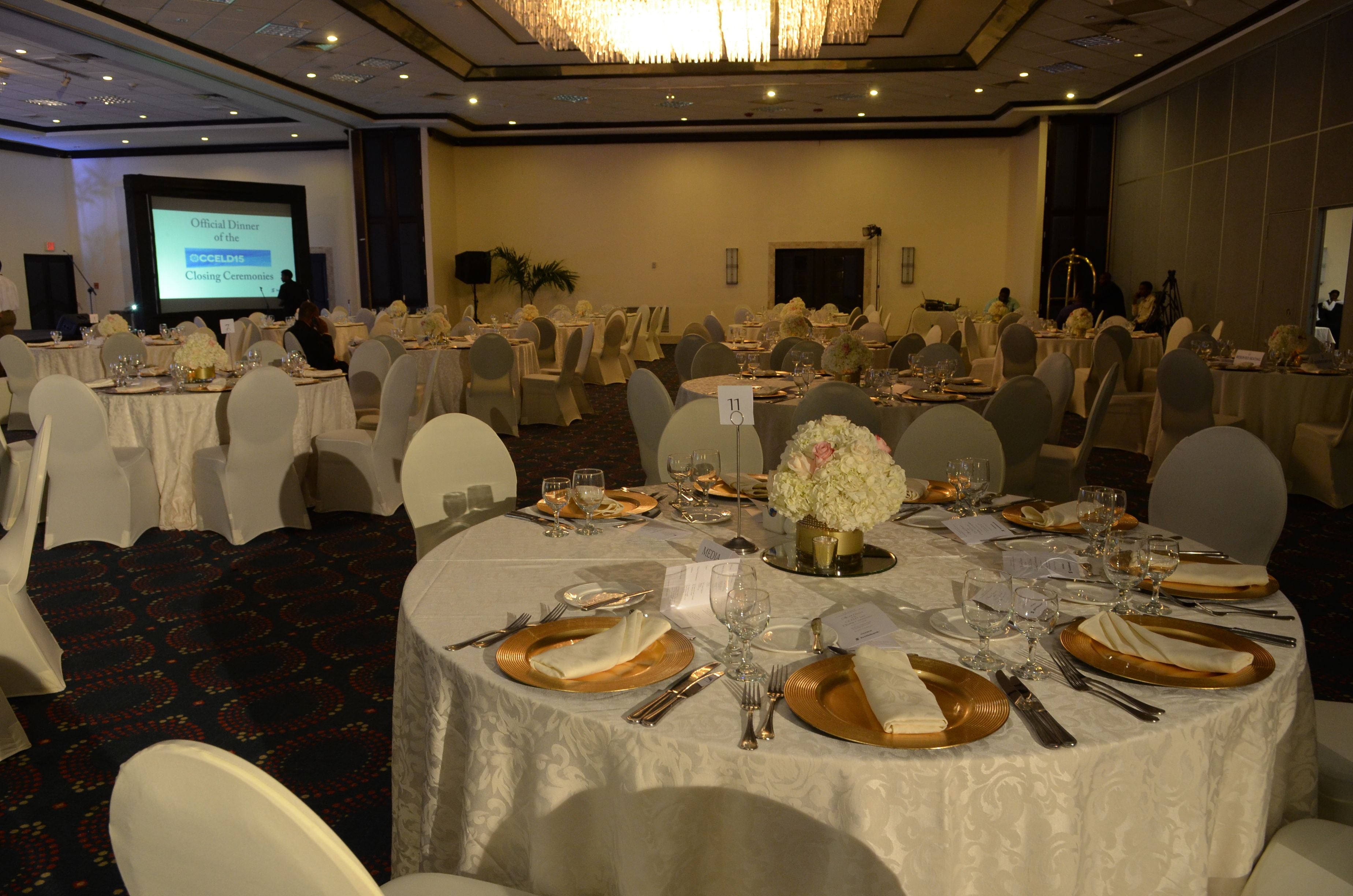 Official Dinner of the CCELD Closing Image -5ad768db53d10