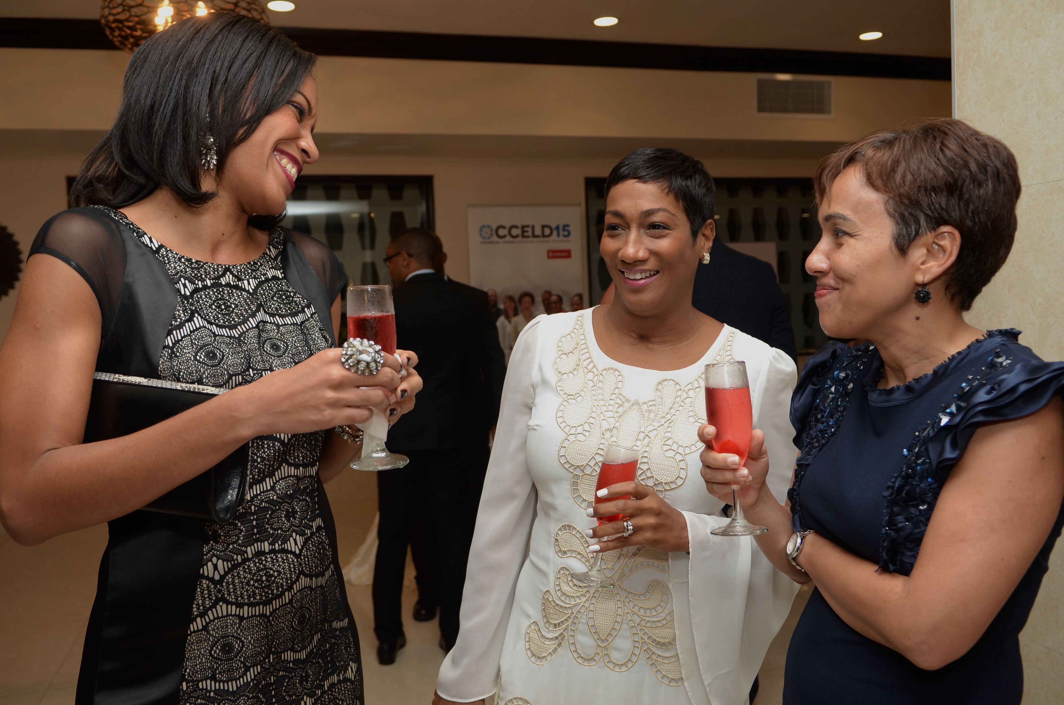 Official Dinner of the CCELD Closing Image -5ad768dfcae8a