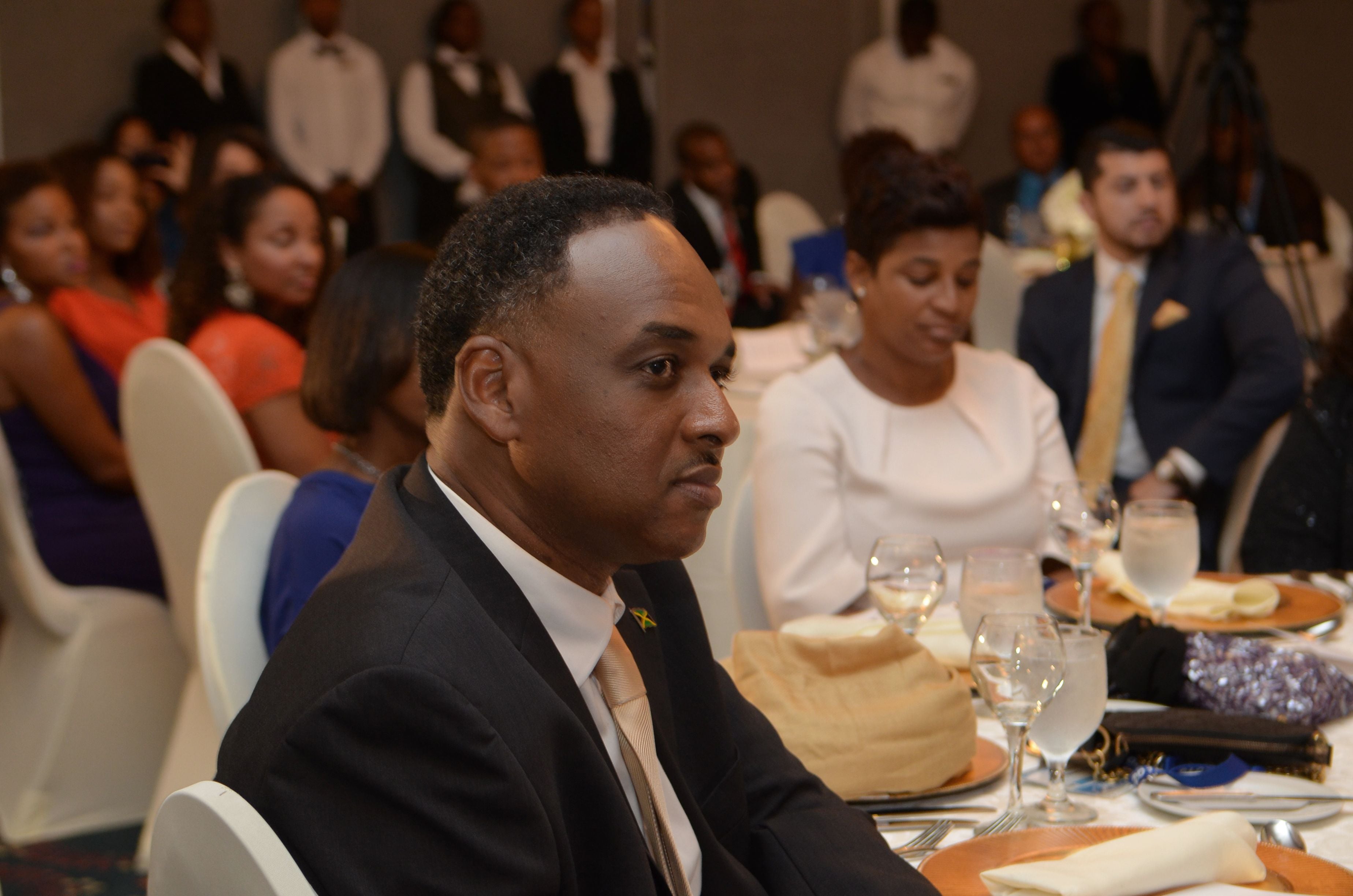 Official Dinner of the CCELD Closing Image -5ad76908e0873