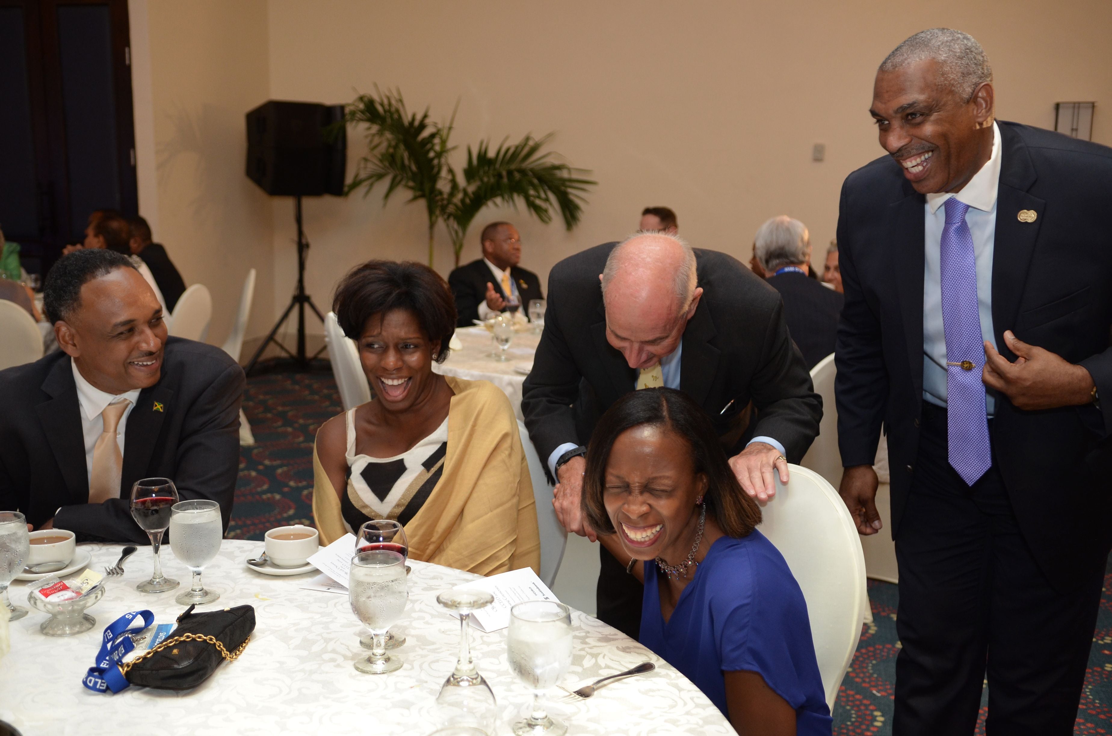 Official Dinner of the CCELD Closing Image -5ad76b474163c