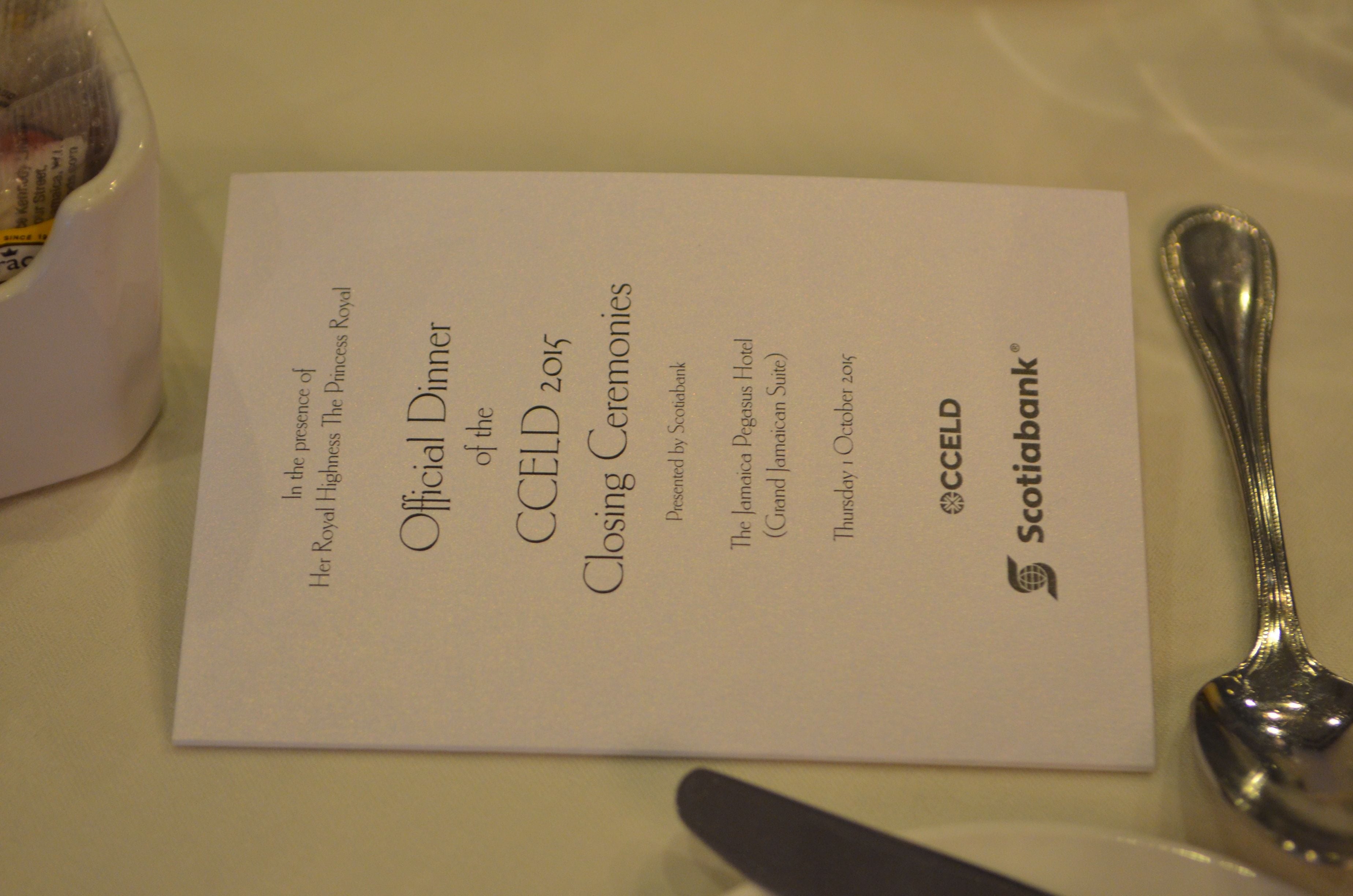 Official Dinner of the CCELD Closing Image -5ad76b4fbabcc