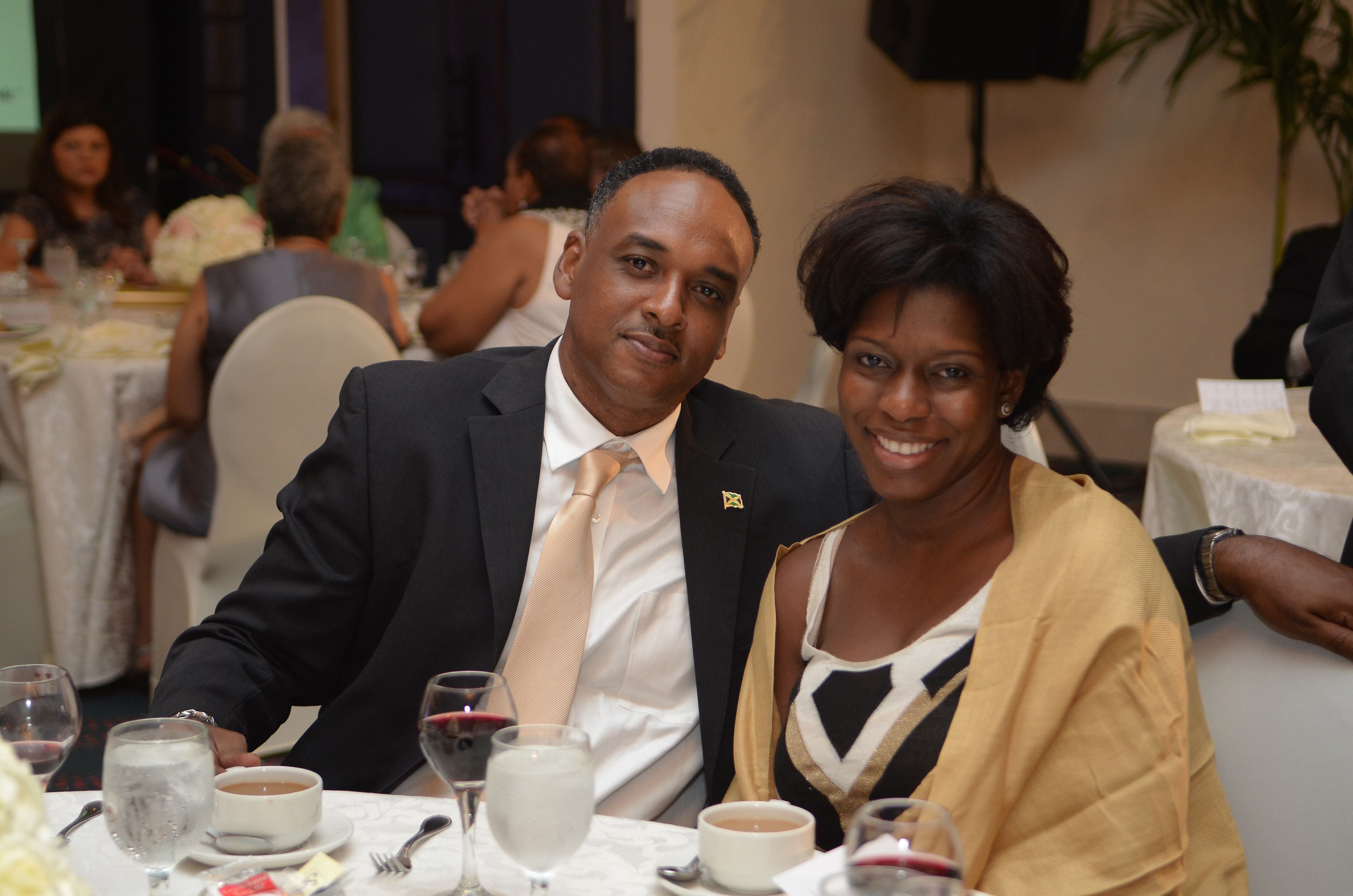 Official Dinner of the CCELD Closing Image -5ad76bdfbe228