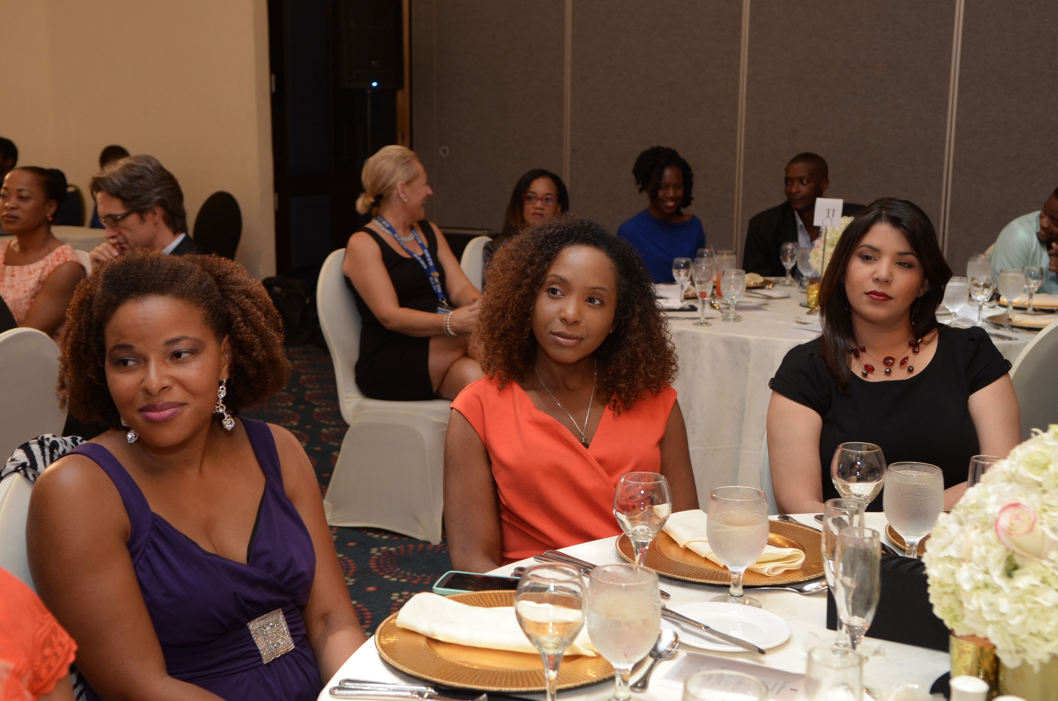 Official Dinner of the CCELD Closing Image -5ad76c33aa7ee