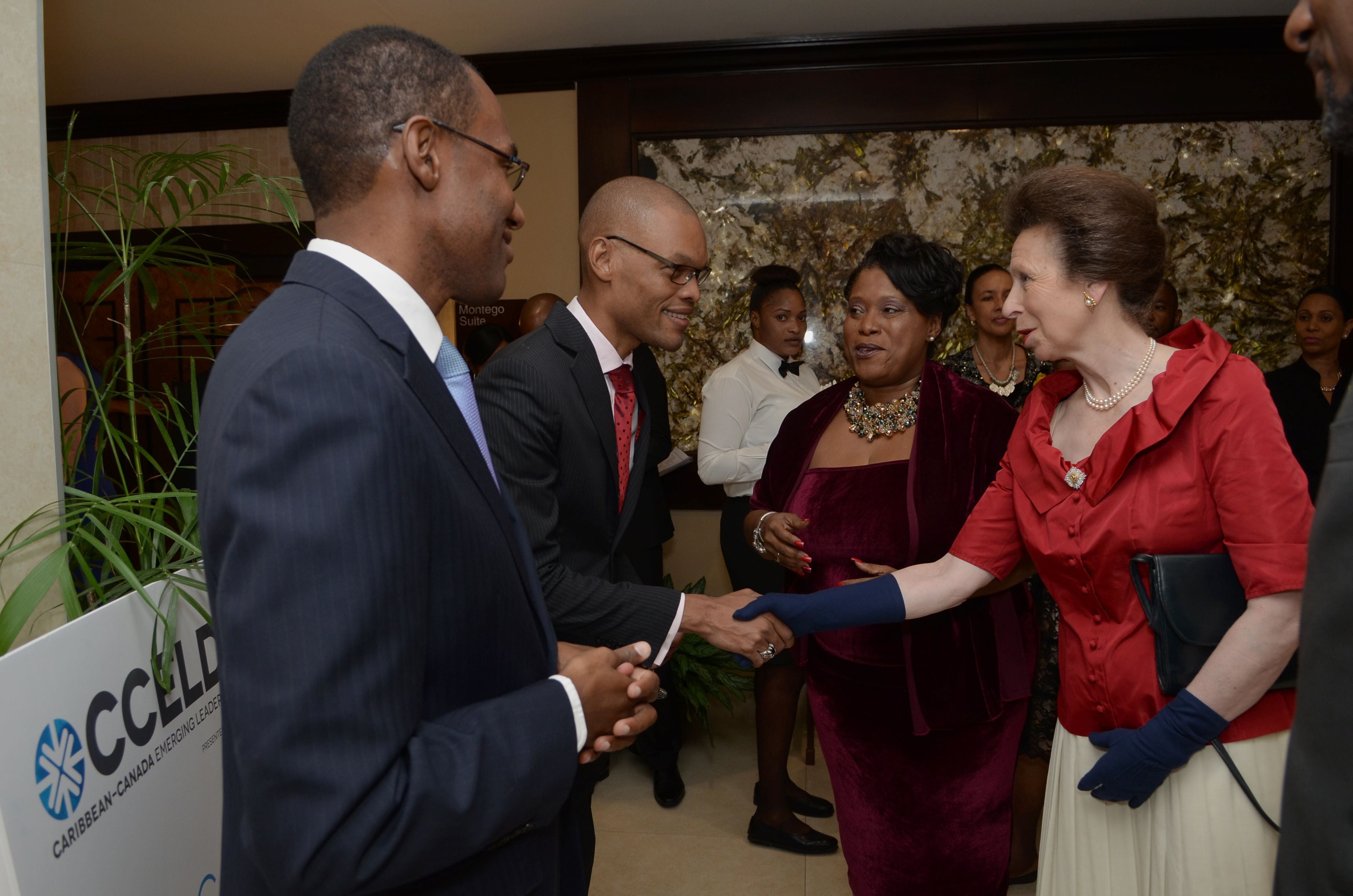 Official Dinner of the CCELD Closing Image -5ad76cad00f11