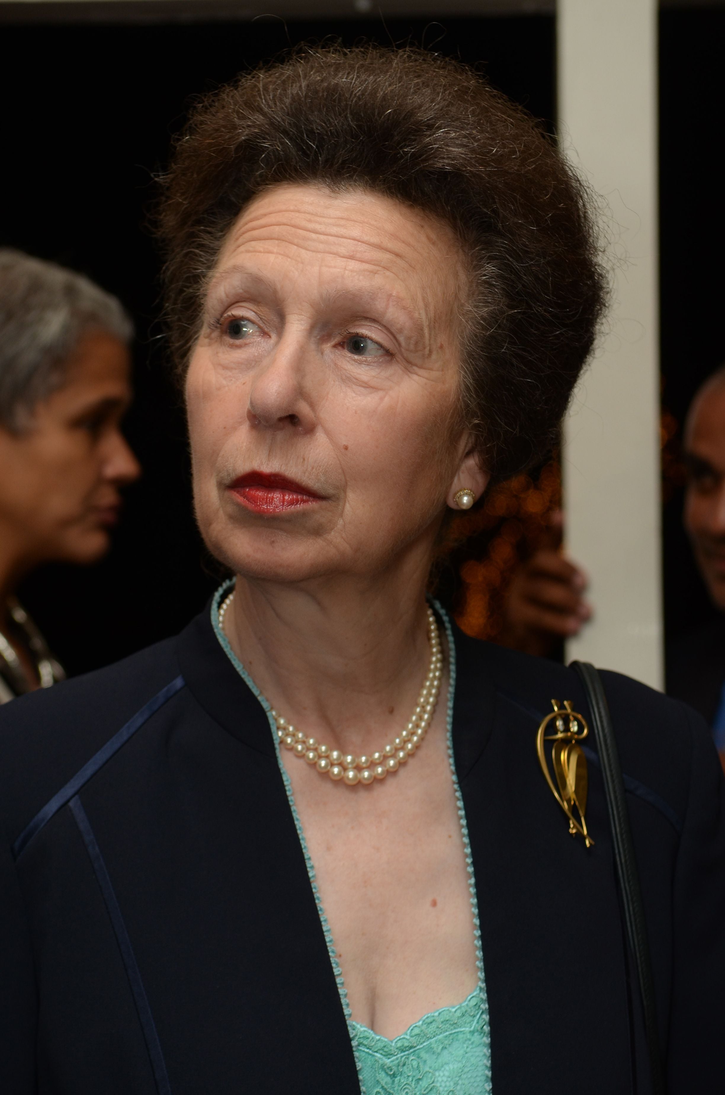 Reception at the UK High Commission Image -5ad76f75c775f