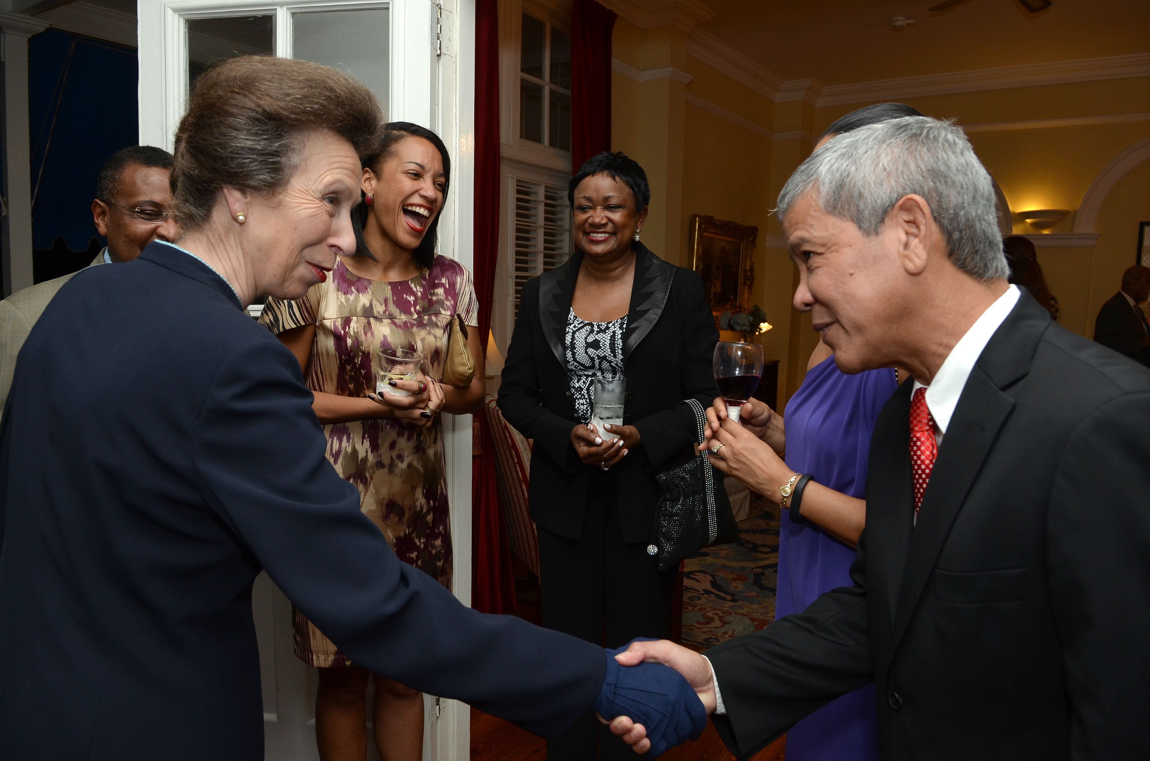 Reception at the UK High Commission Image -5ad77360abbe4