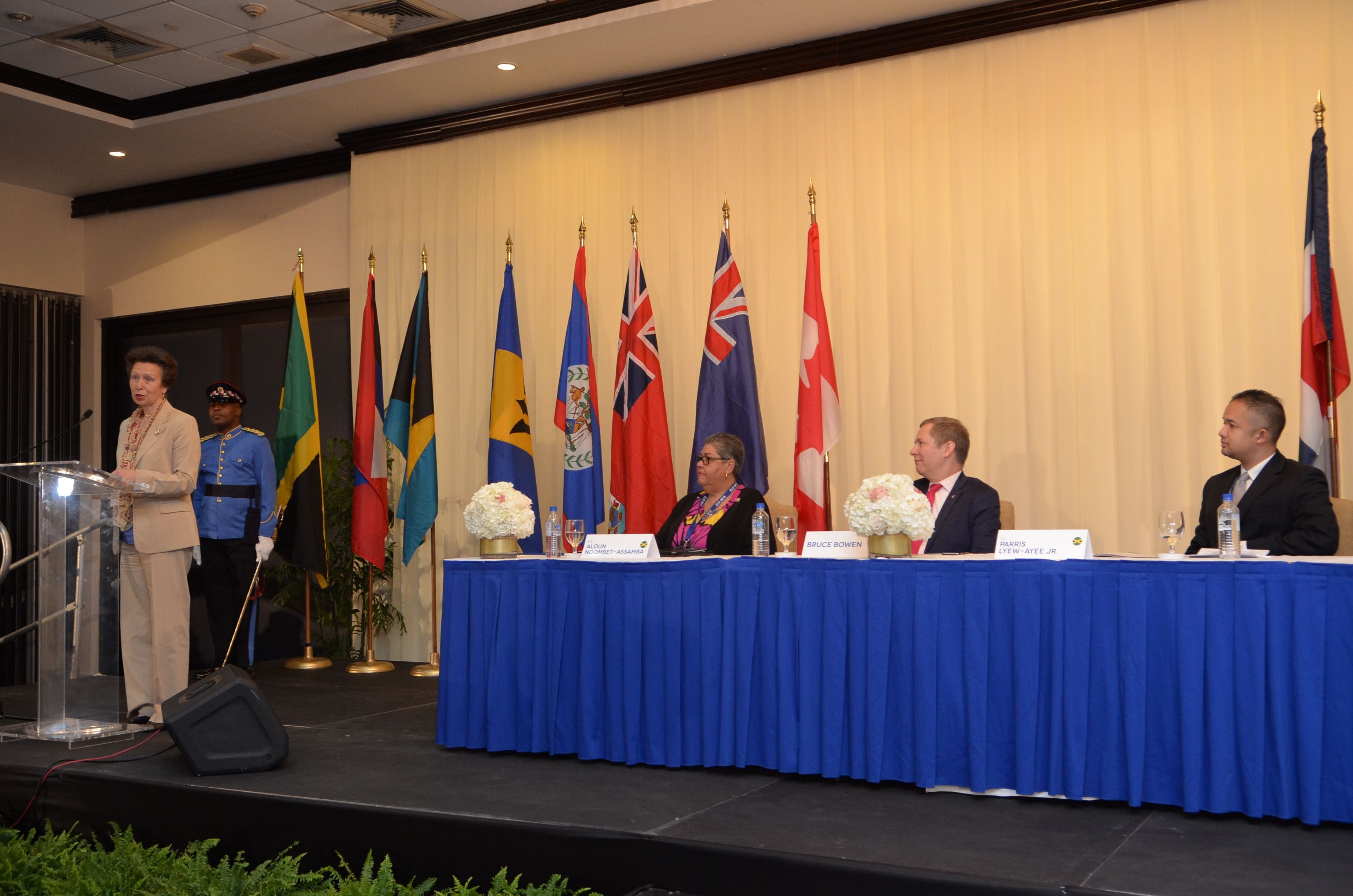 CCELD Closing Plenary Image -5ad7b002cffdb