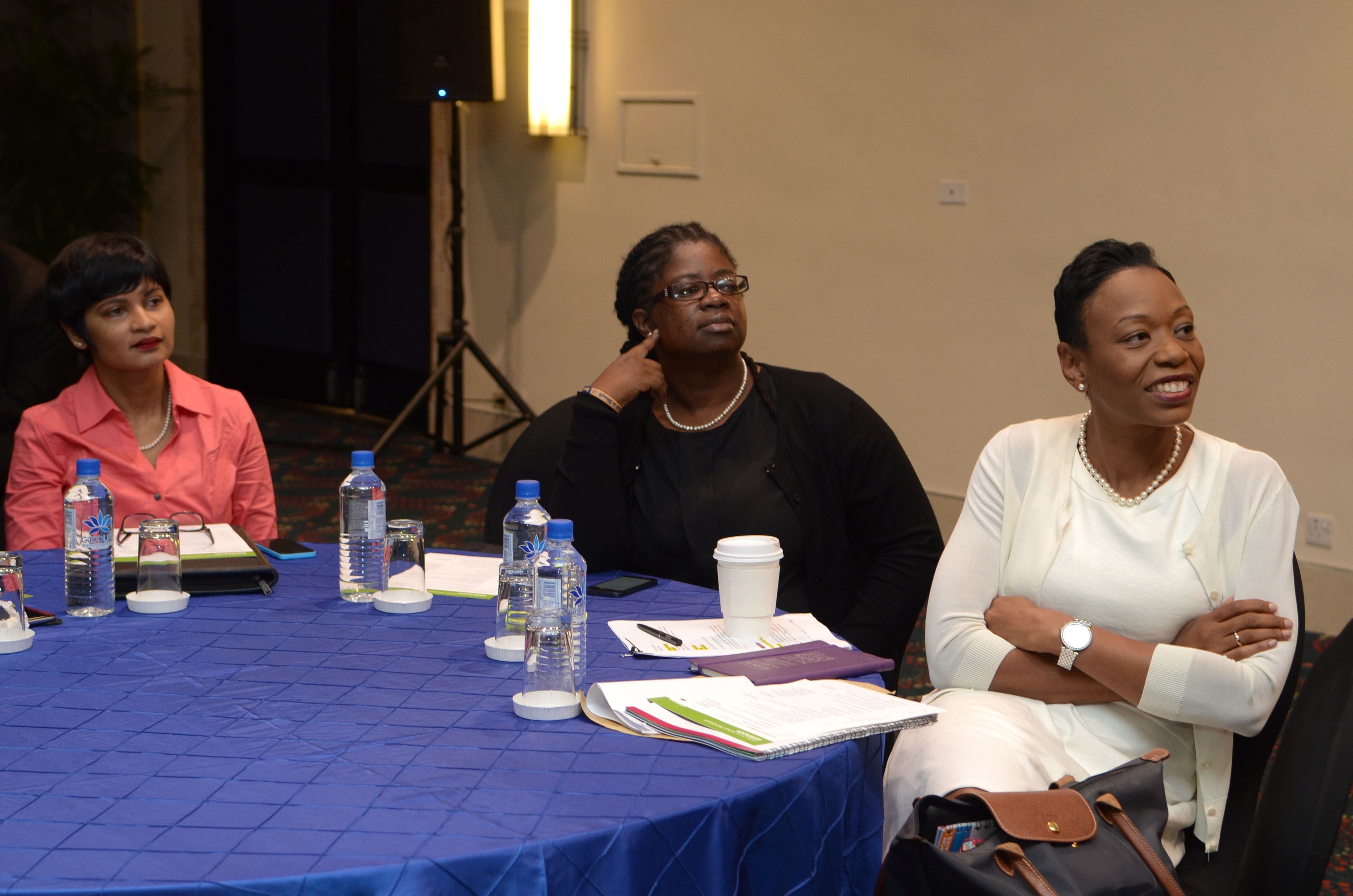 CCELD Closing Plenary Image -5ad7b063a4ae9