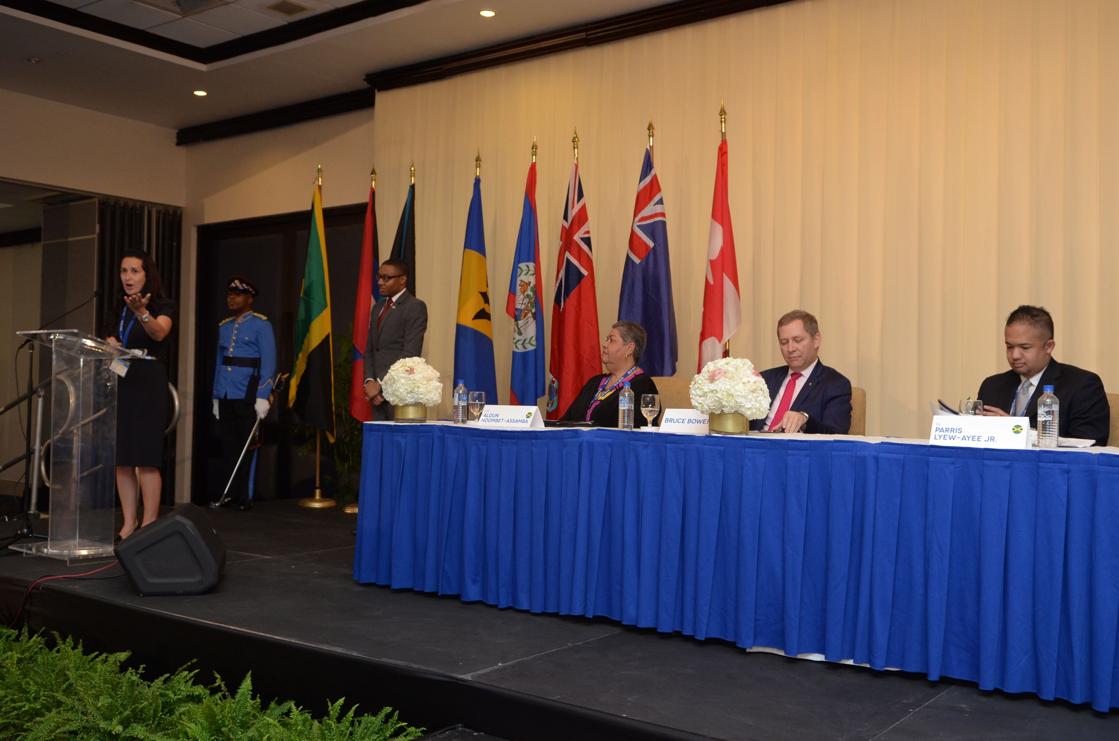 CCELD Closing Plenary Image -5ad7b33d6e8e3