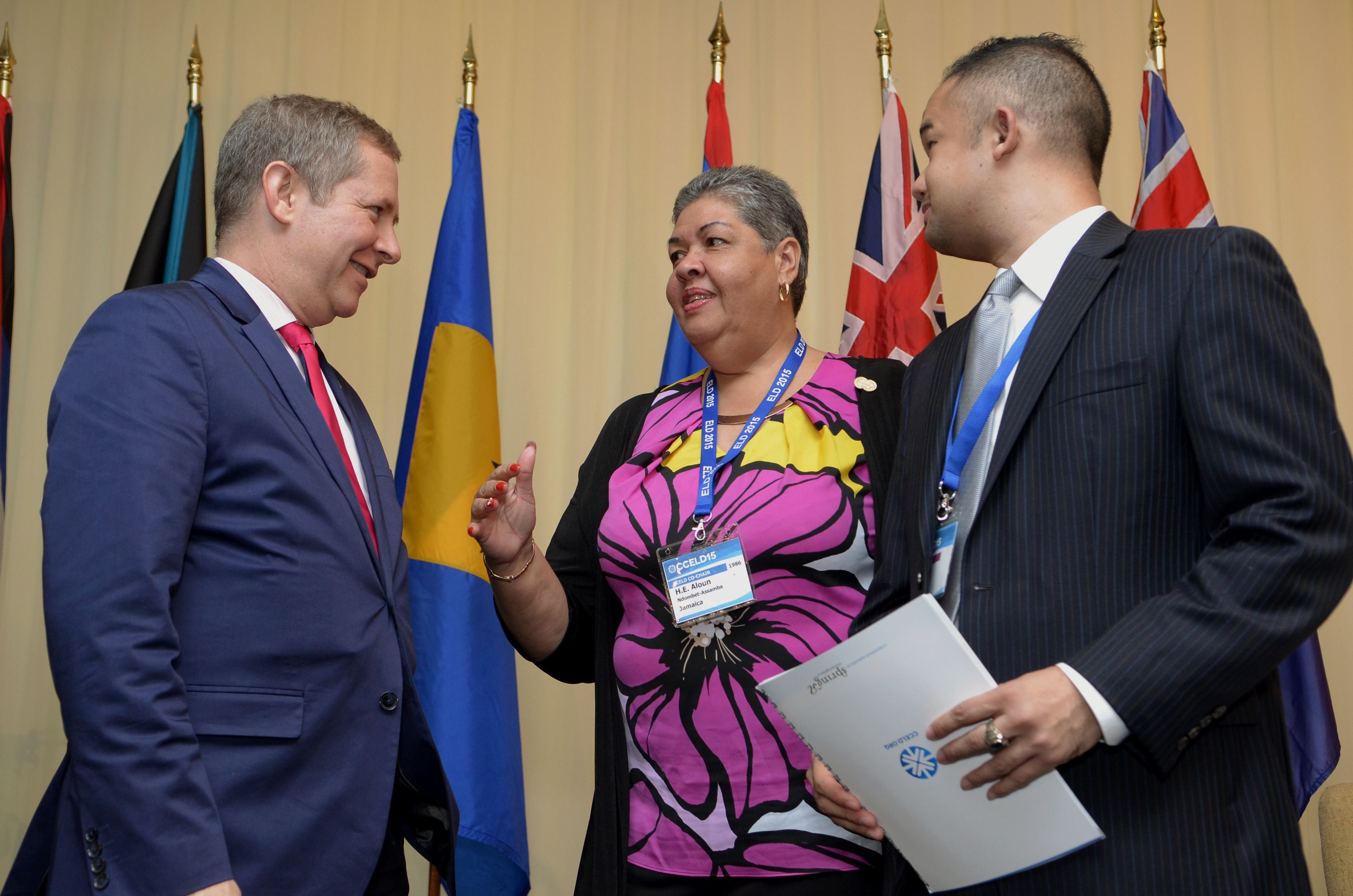 CCELD Closing Plenary Image -5ad7b350124fd