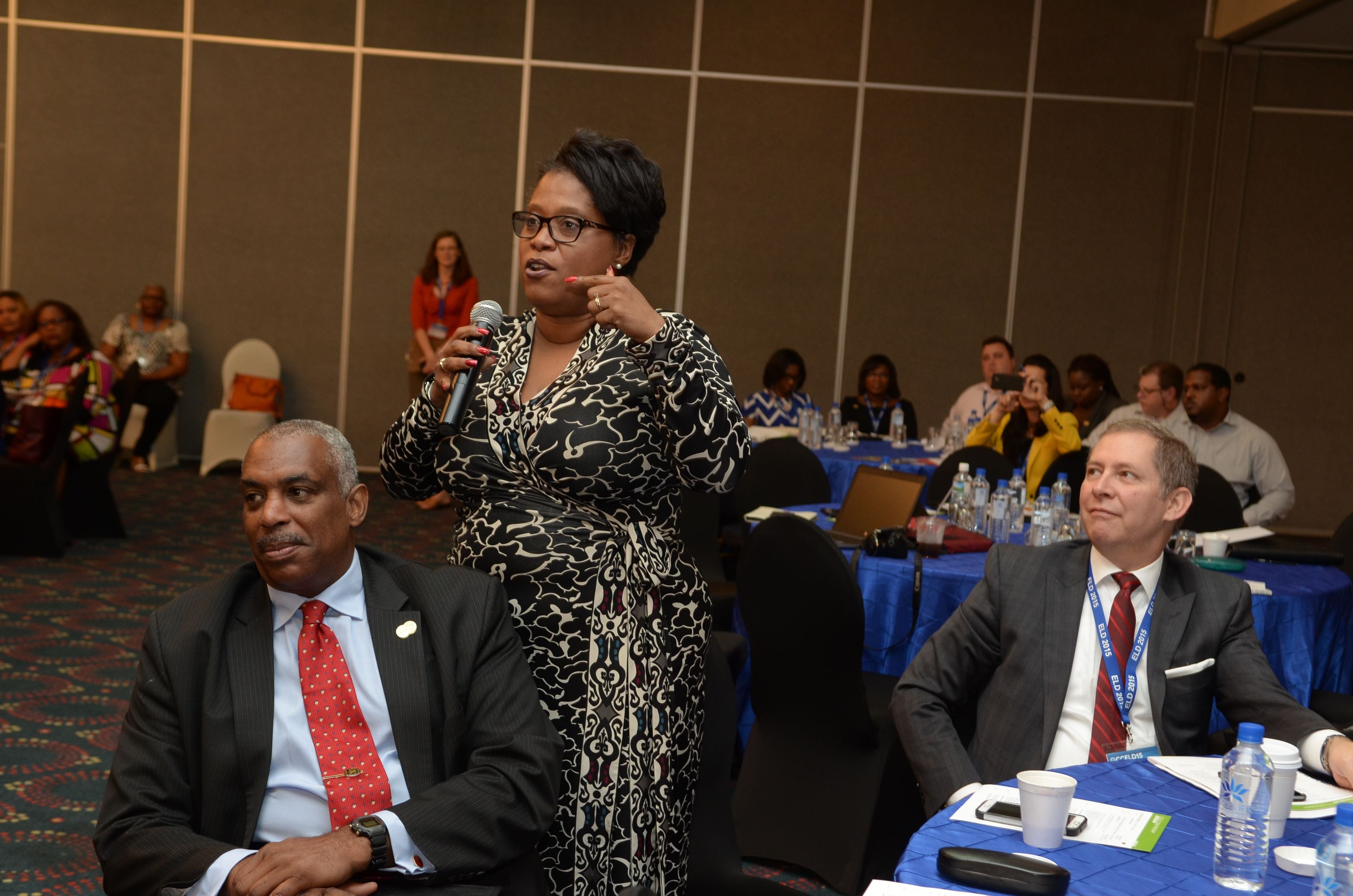 CCELD Closing Plenary Image -5ad7b36107b79