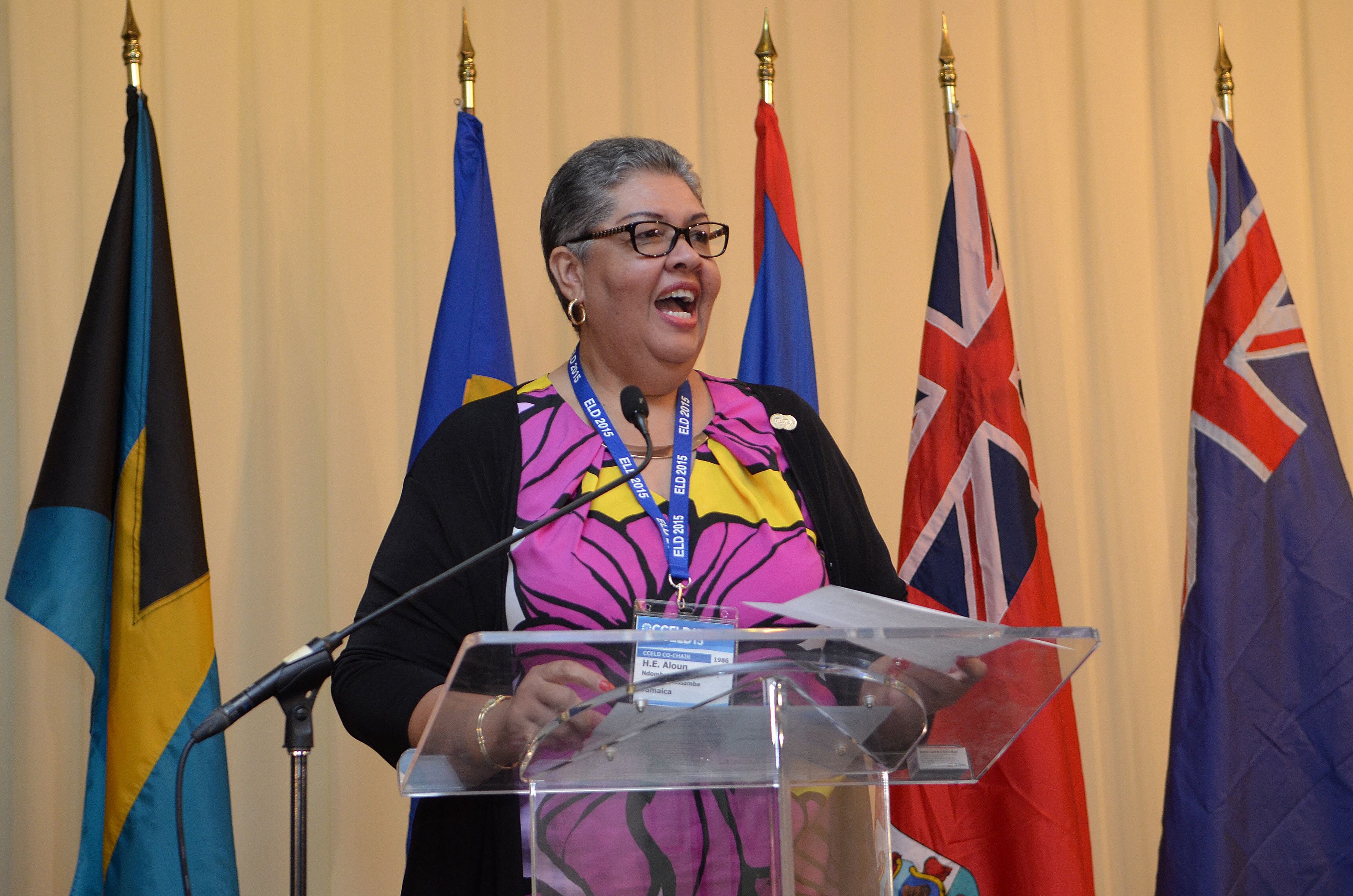 CCELD Closing Plenary Image -5ad7b384bbfea