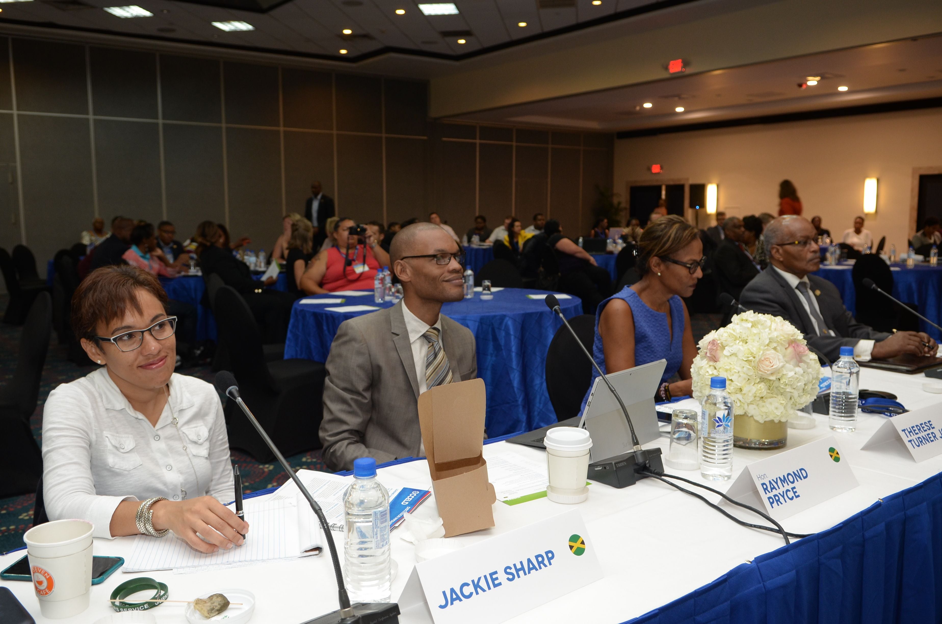 CCELD Closing Plenary Image -5ad7b3b19a8ee