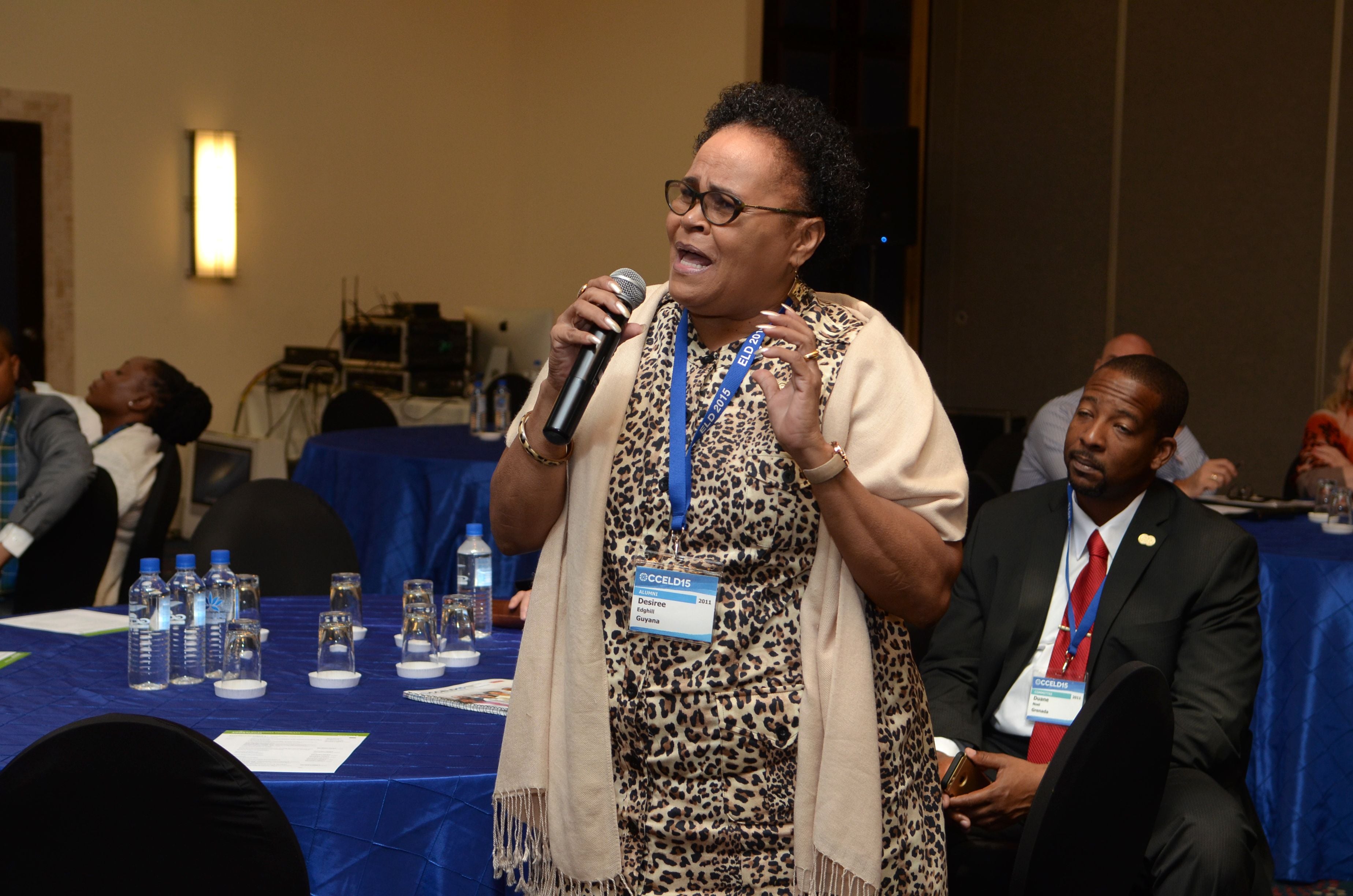 CCELD Closing Plenary Image -5ad7b3bddb520