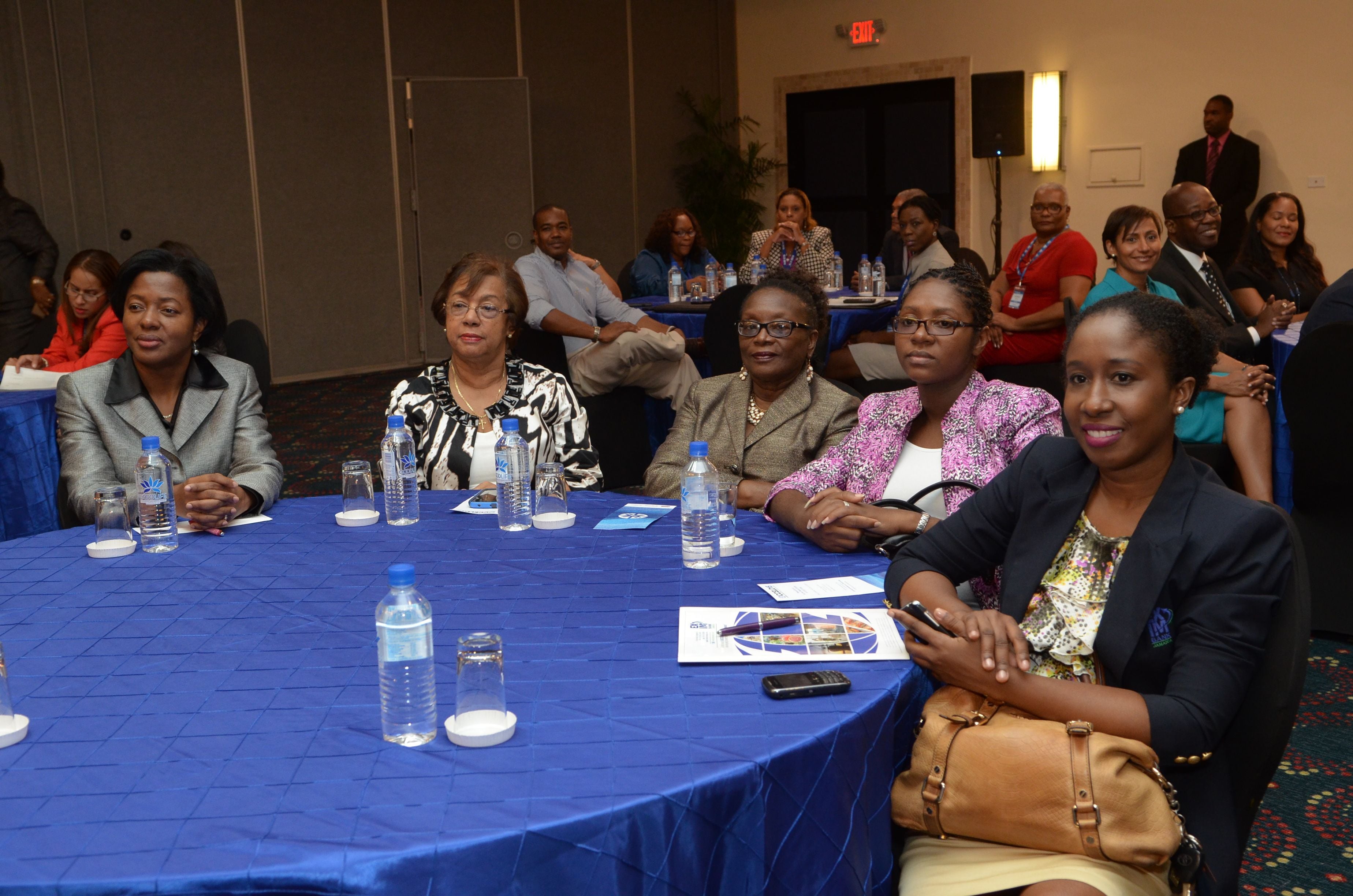 CCELD Closing Plenary Image -5ad7b4621f14c