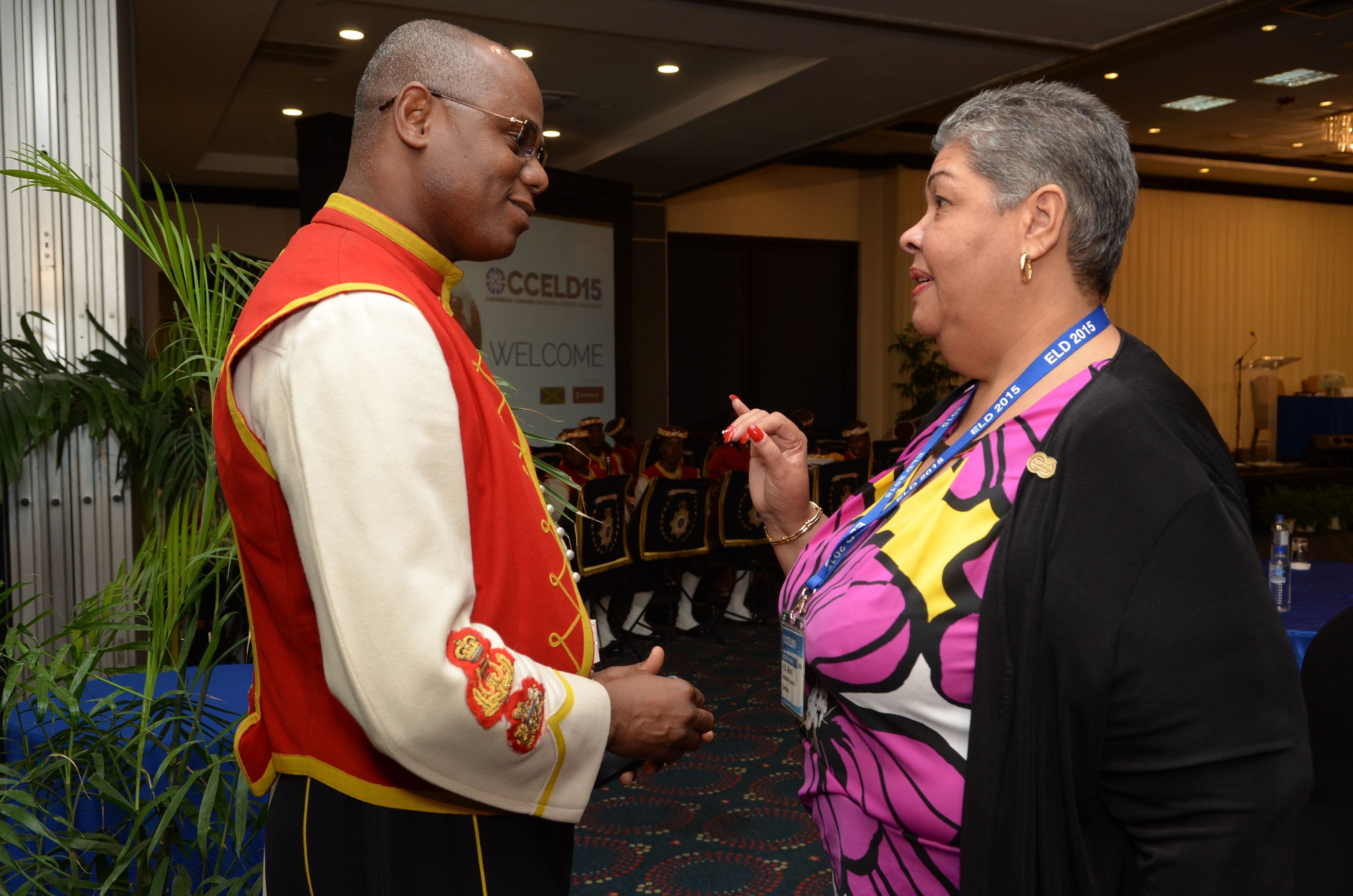 CCELD Closing Plenary Image -5ad7b55a4bce9