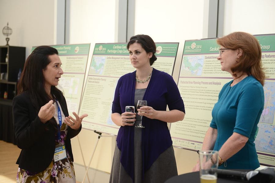 CCELD 2015 Ottawa Barbados Image -5ade2bd54bd19