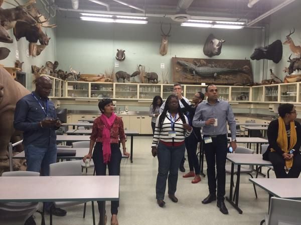 CCELD 2015 Image -5adf3a936a8b8