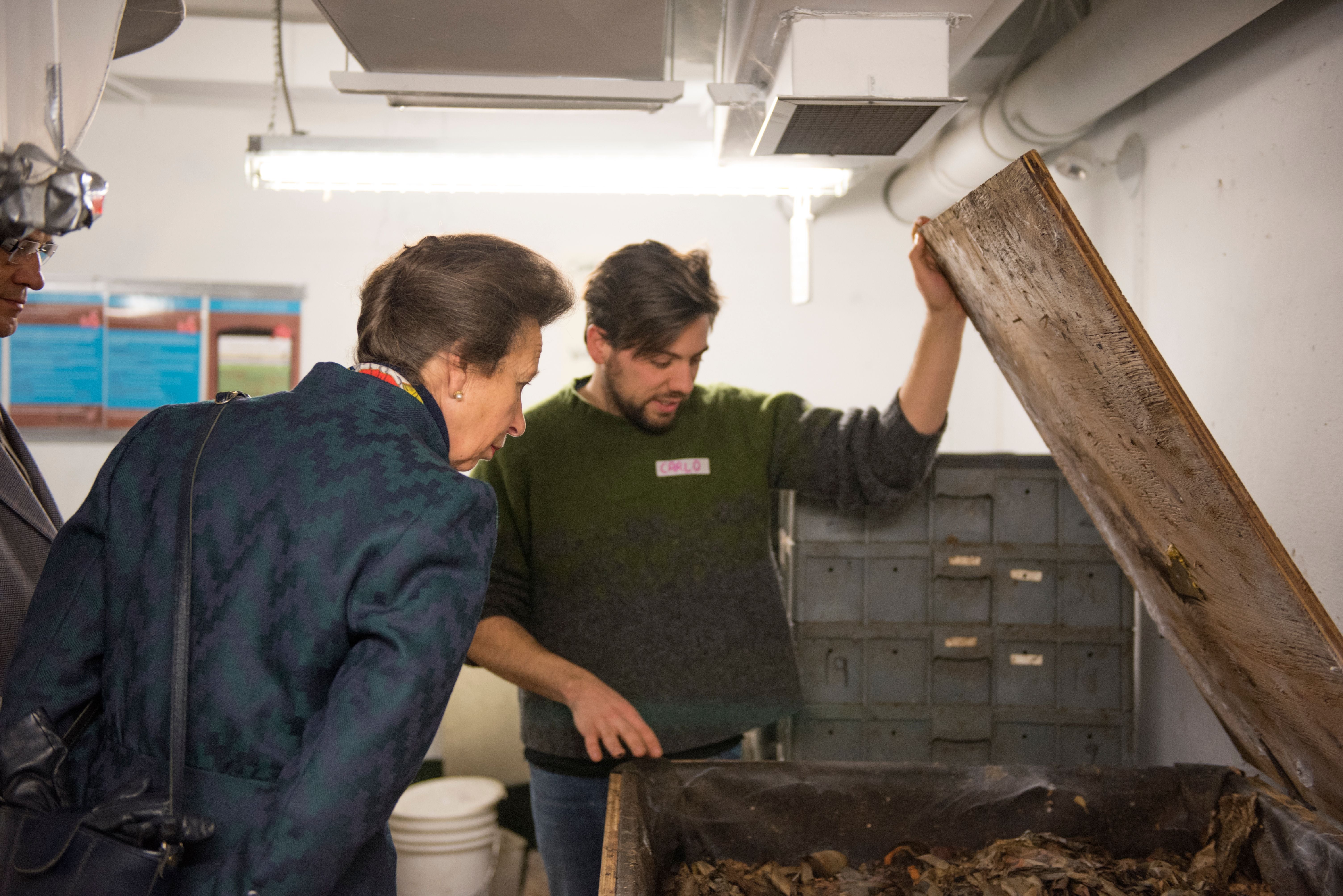 Visit to Santropol Roulant February 2015 Image -5adf3fd6e91c1