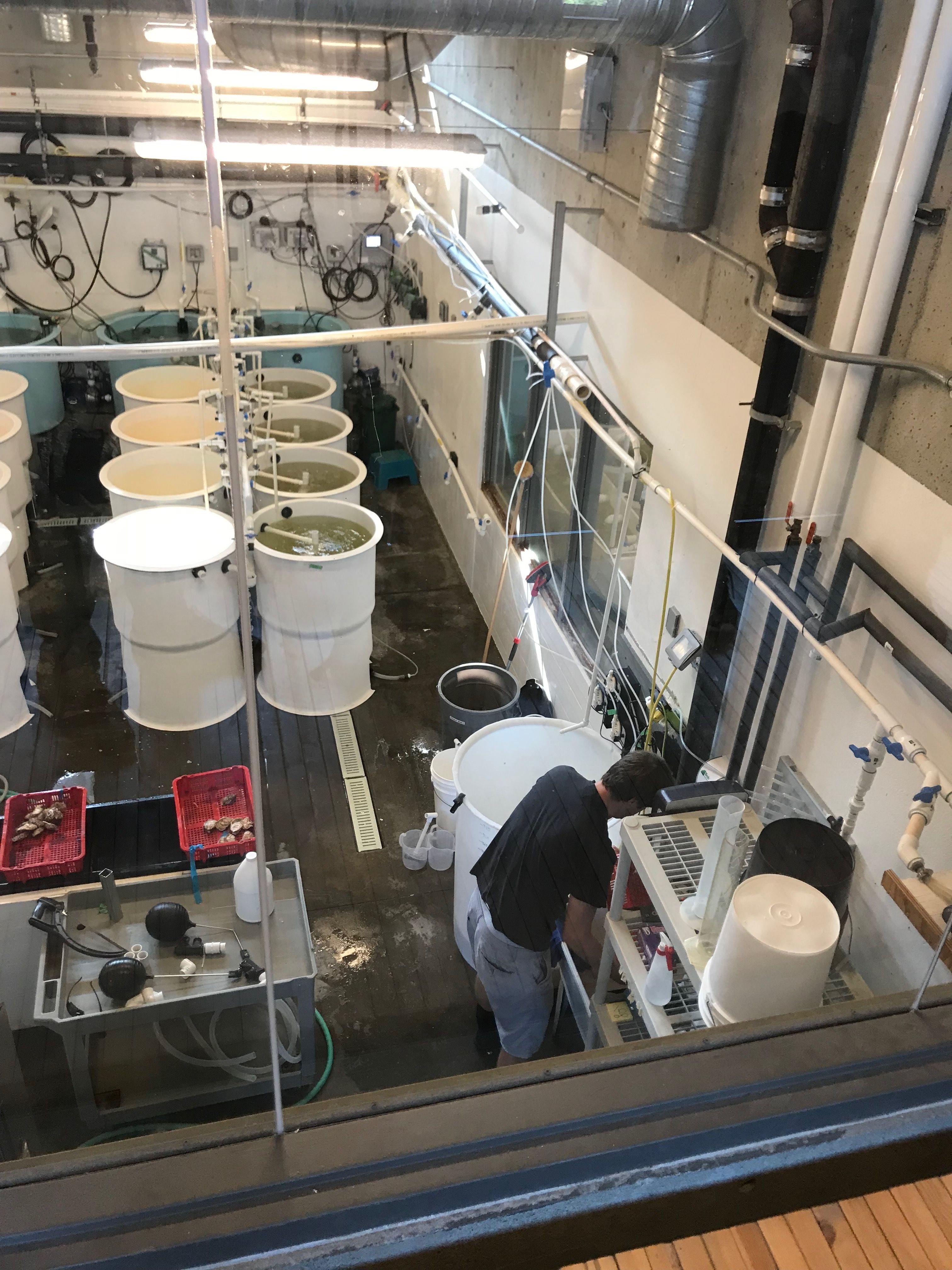 ELSCD 2018 - Experiential Tours - Group 1 Image -5baa9db228d26