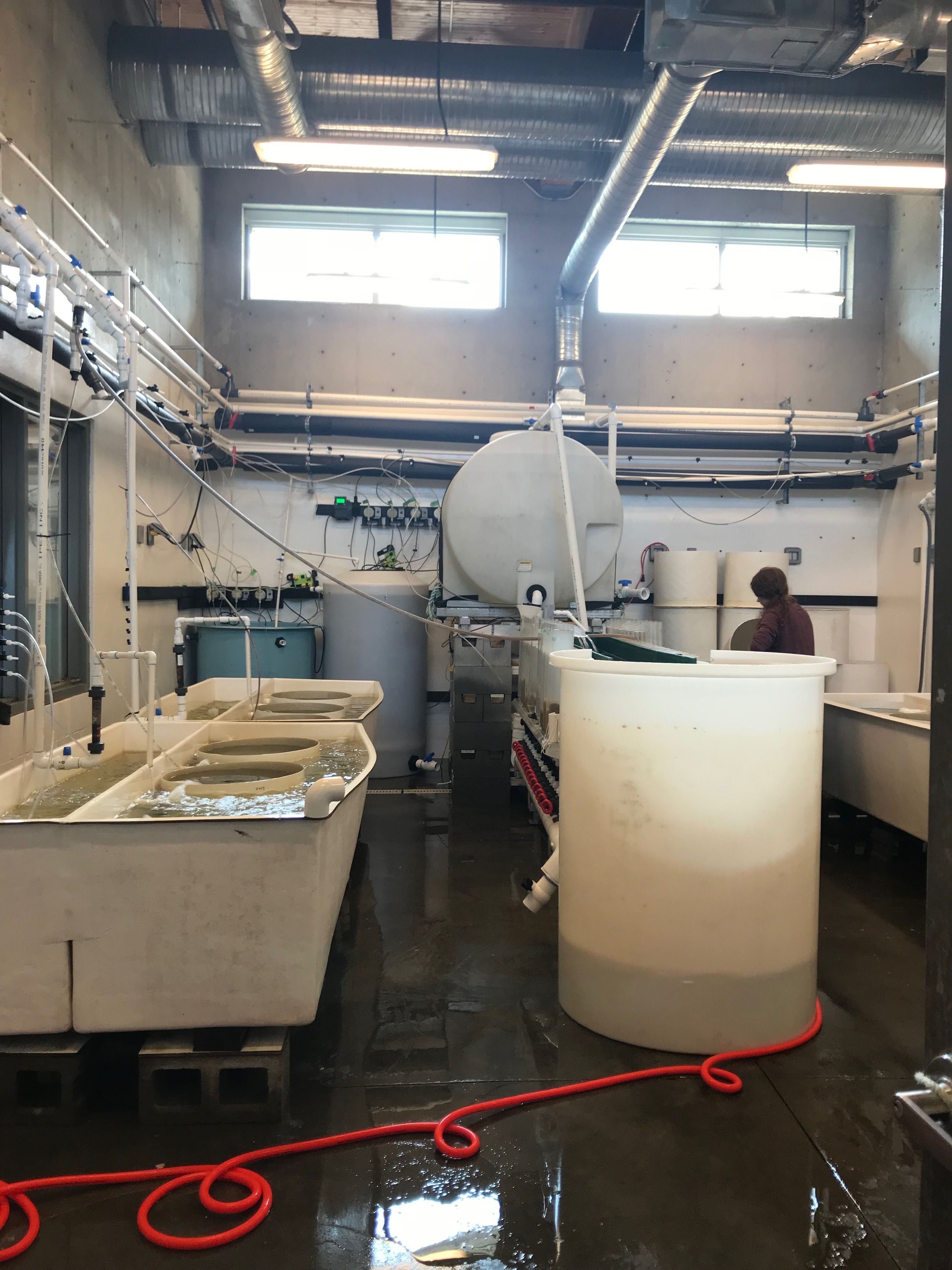 ELSCD 2018 - Experiential Tours - Group 1 Image -5baa9db7473ef