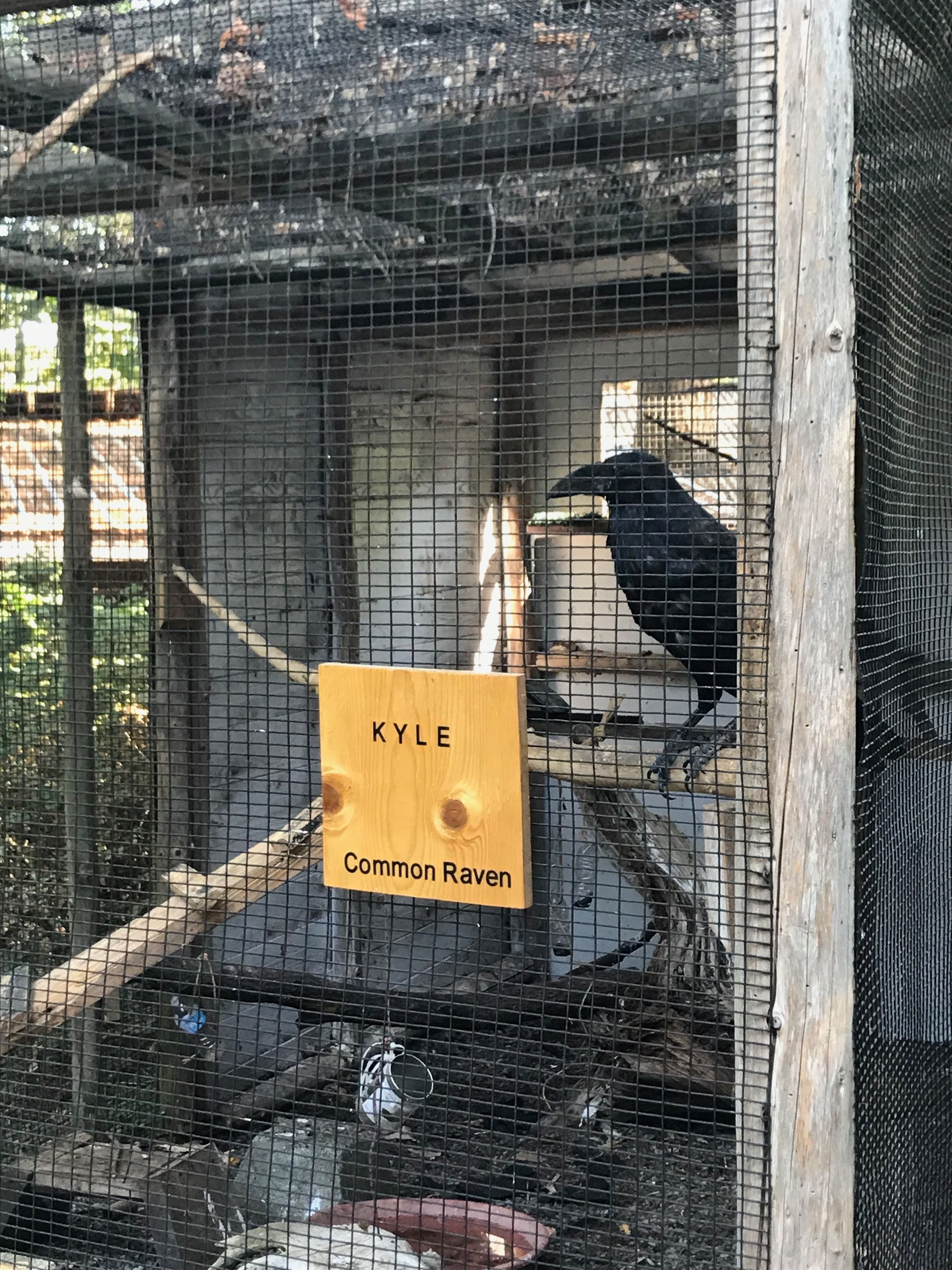 ELSCD 2018 - Experiential Tours - Group 1 Image -5baa9dc6e467c