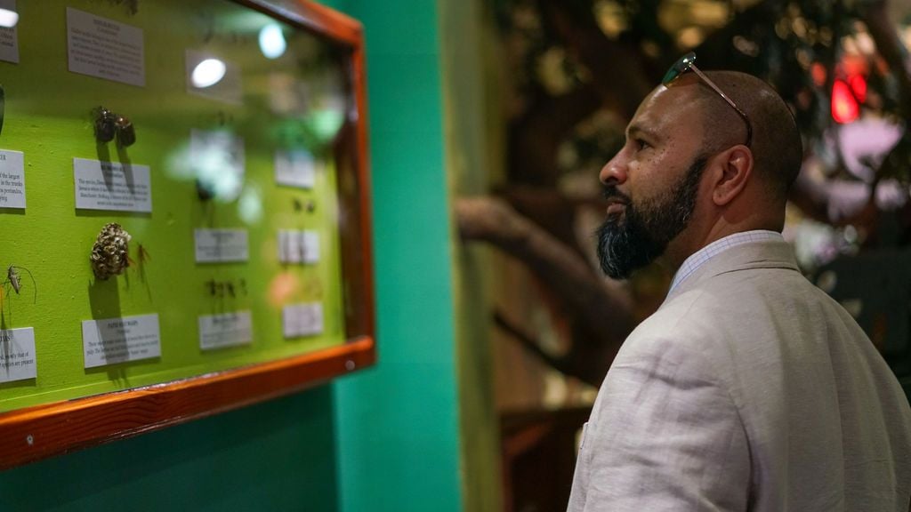 CCELD 2019 - Experiential Tours Image -5caf68376a6cd