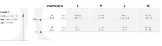 Bauerfeind Training Compression Socks