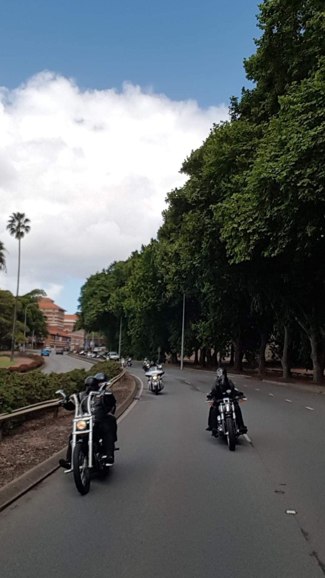 4th Annual Ride for PCHF Image -5dc0fb417e4ea