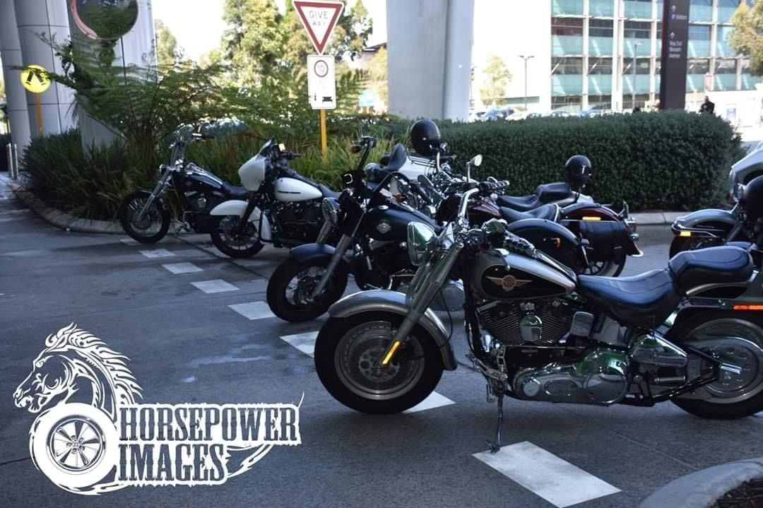 4th Annual Ride for PCHF Image -5dc0fb47aa743