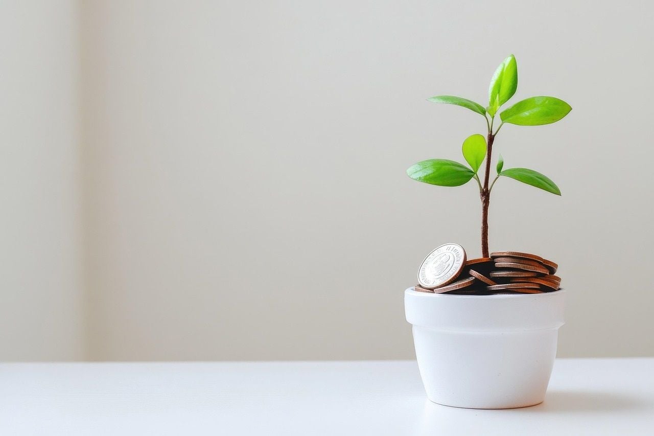 Financial missteps can mean missed opportunities