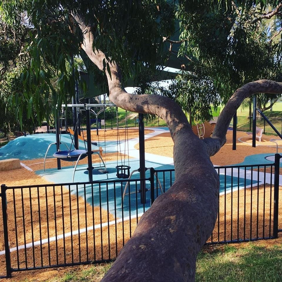 Tania Park NSW - Synthatech Image -5ccbcad107139