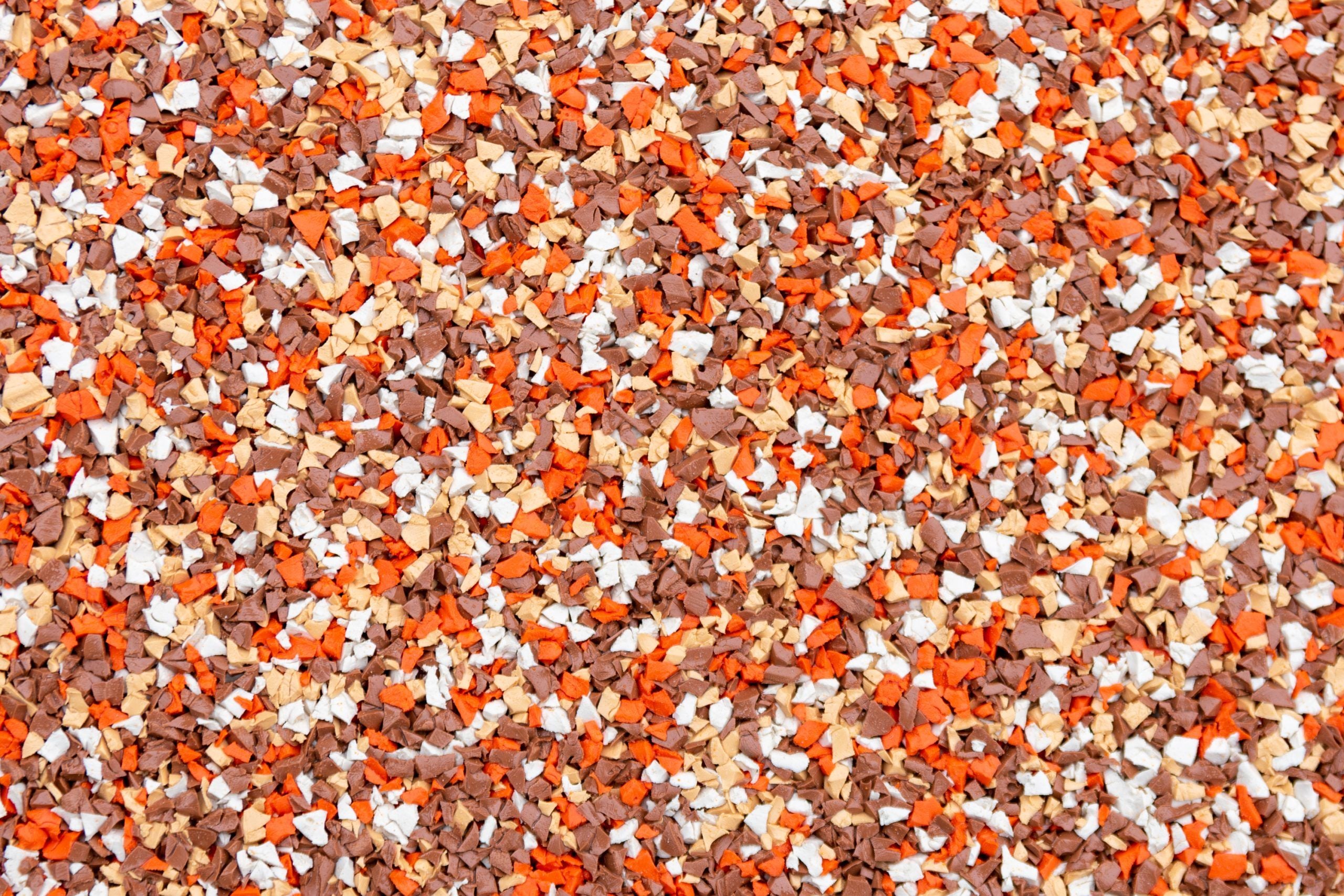 Autumn Path Autumn Path