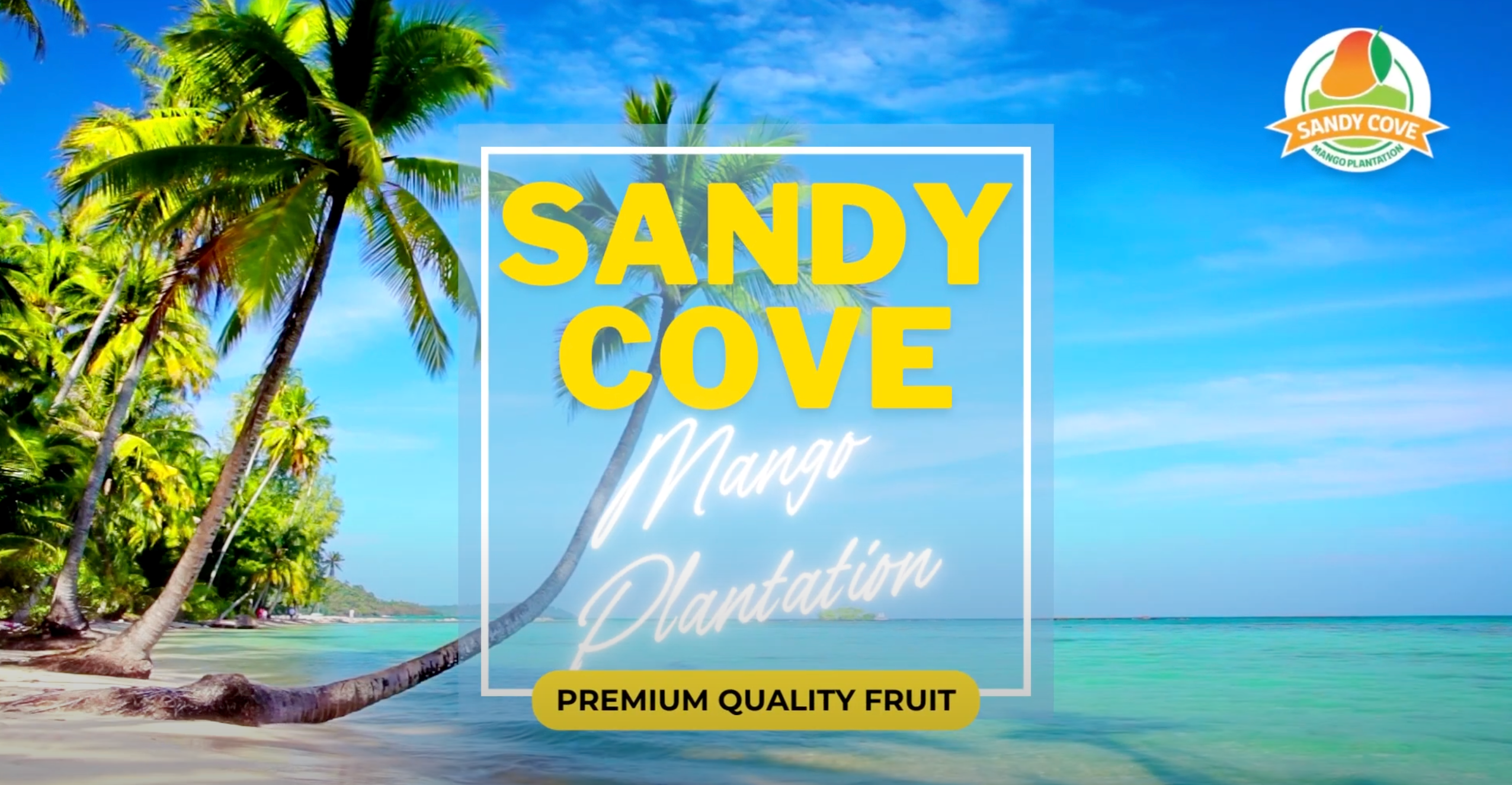 Sandy Cove Youtube