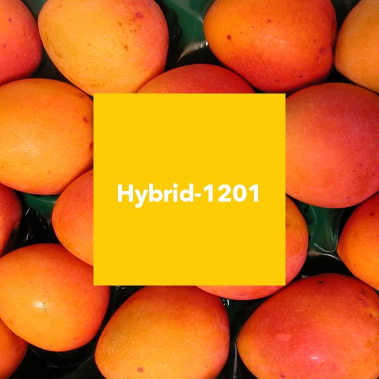 Hybrid-1201