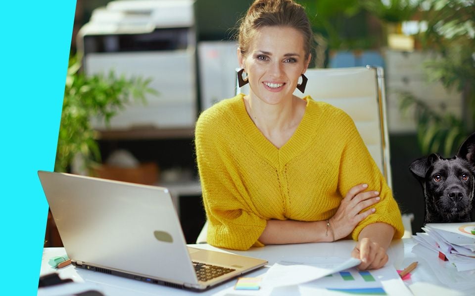 Veterinary Google Audit