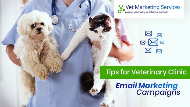 Tips For Your Vet Clinic's Email Marketing Campaign