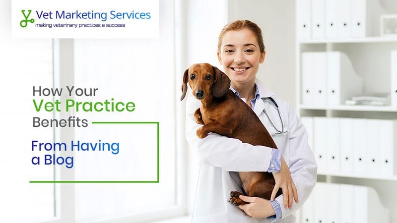 How Your Vet Practice Will Benefit From Having A Blog