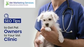 Get Local Pets to Your Clinic With Local SEO