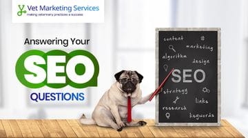 Answering Your SEO Questions