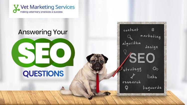 Answering Your SEO Questions