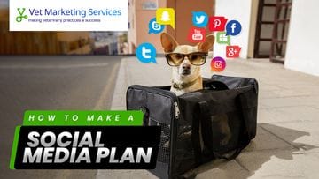 How To Make A Veterinary Clinic Social Media Plan