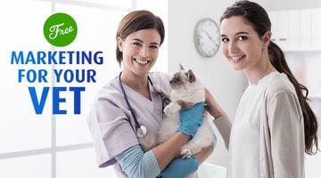 3 Easy Ways to Market Your Vet For Free